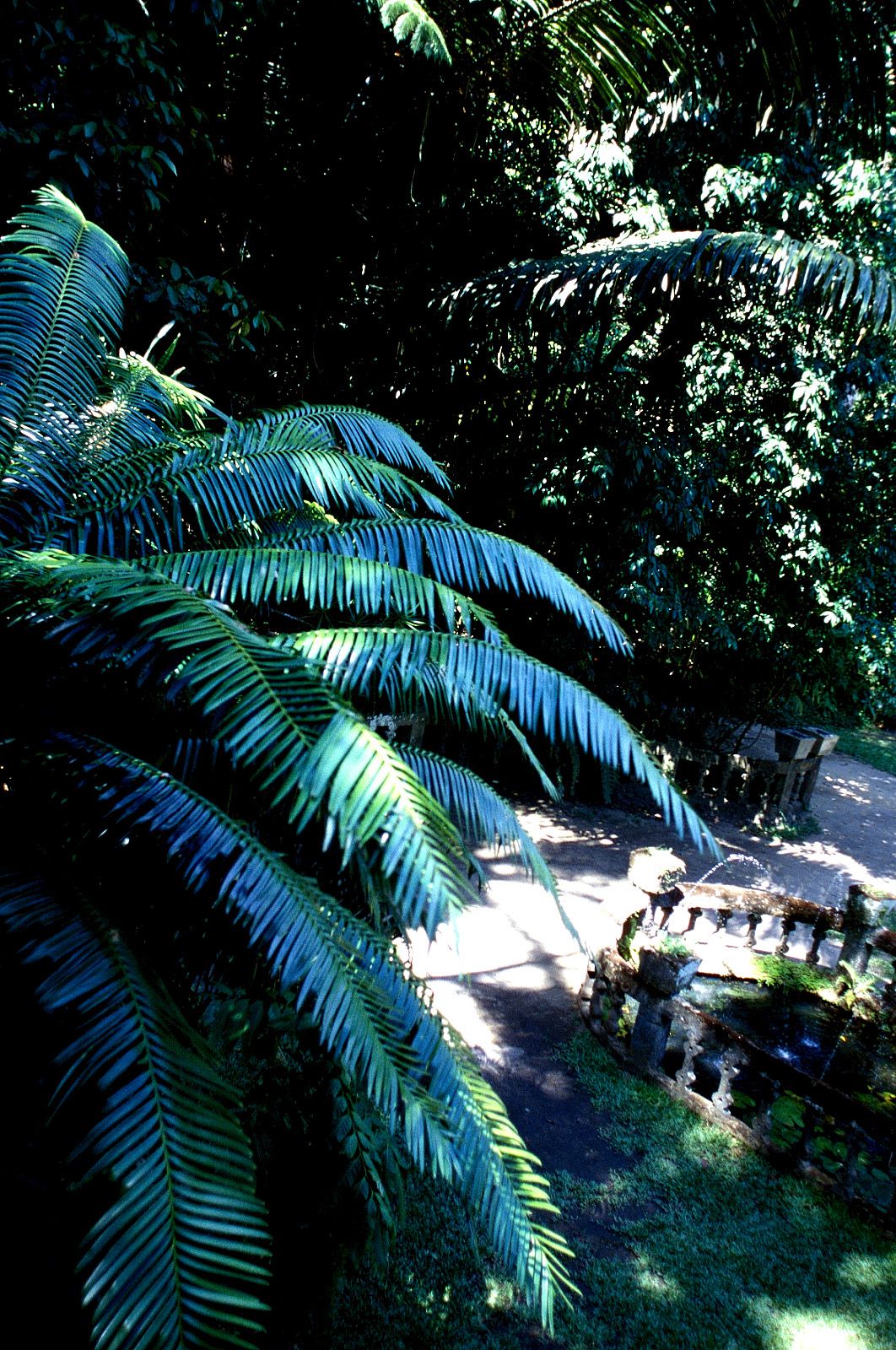 SF-No.201 Aki Nishihara 西原亚希 -UNDERAGE!-图57