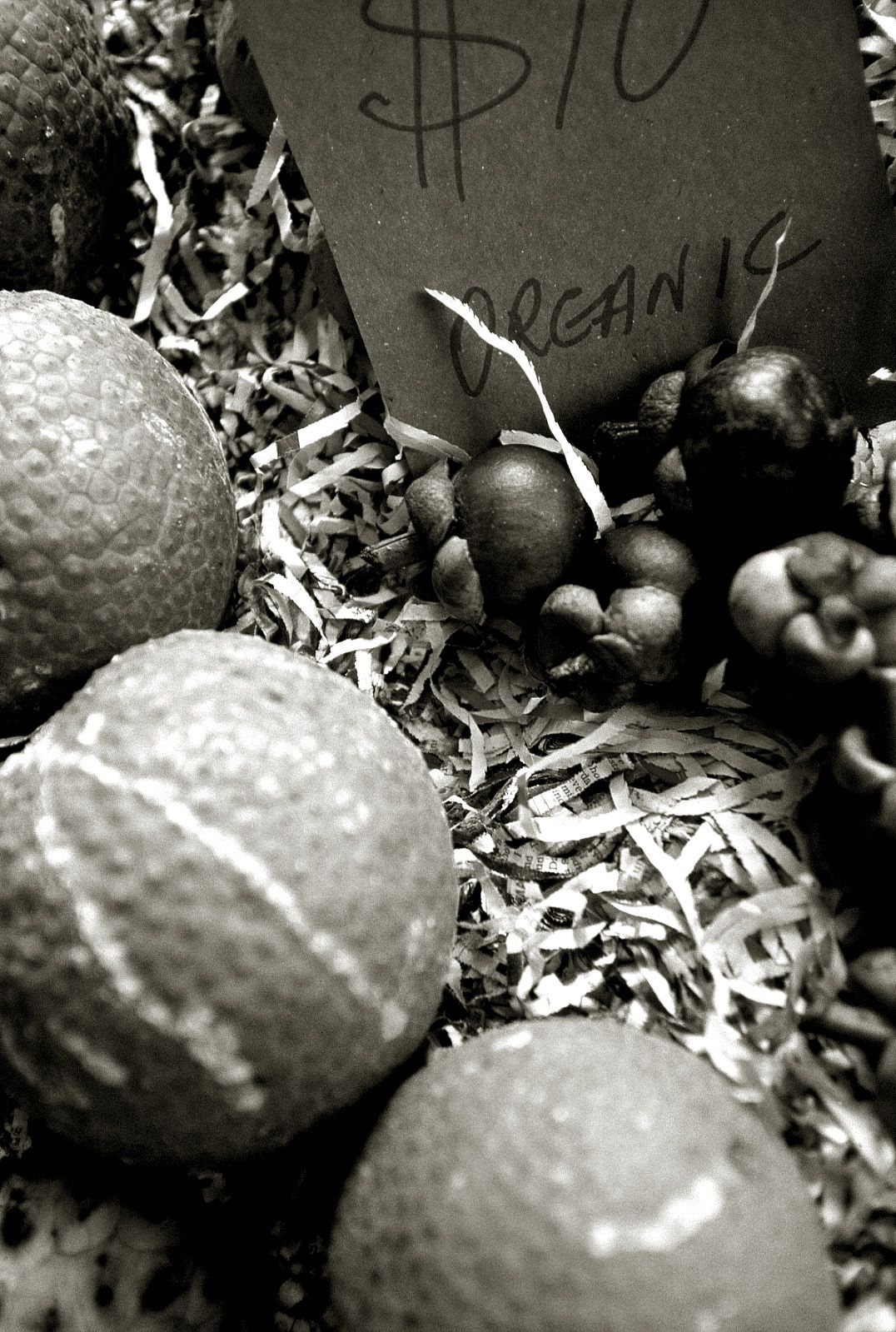 SF-No.204 Moemi Tominaga 富永萌美 -UNDERAGE!-图18