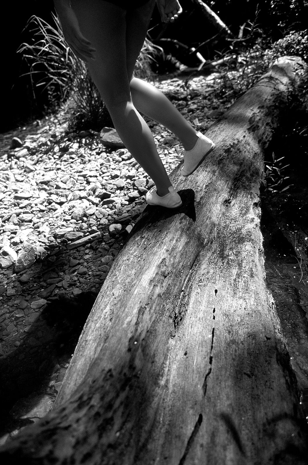 SF-No.204 Moemi Tominaga 富永萌美 -UNDERAGE!-图27