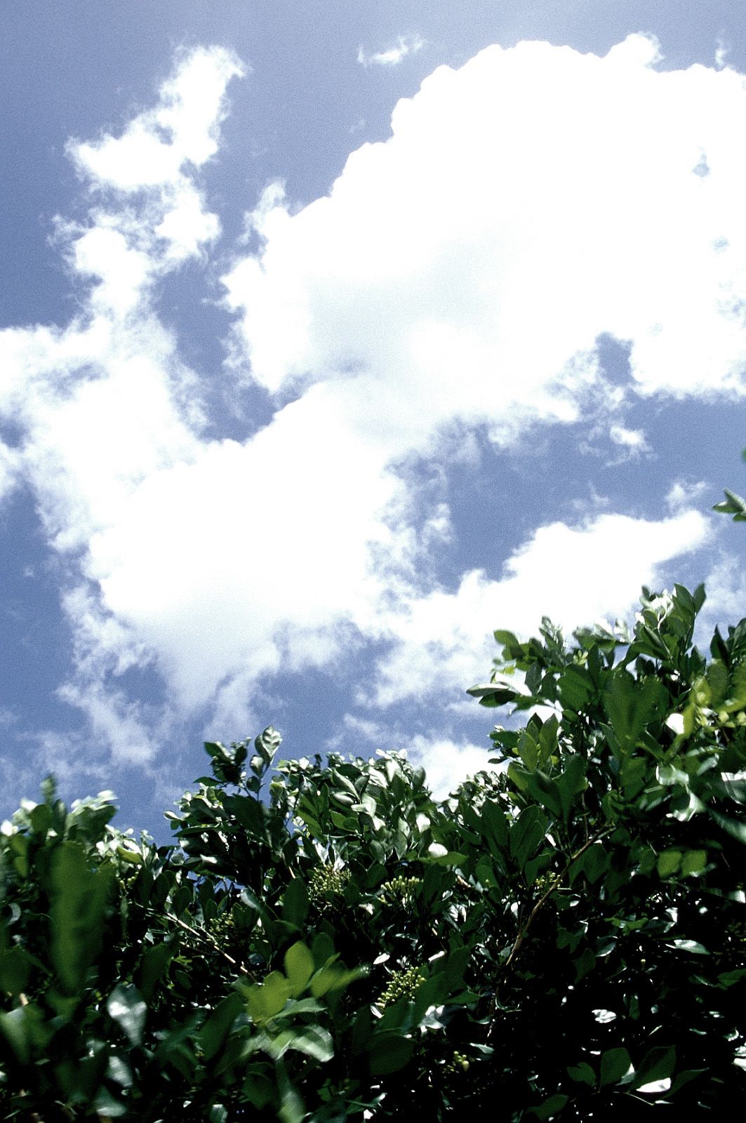 SF-No.204 Moemi Tominaga 富永萌美 -UNDERAGE!-图45