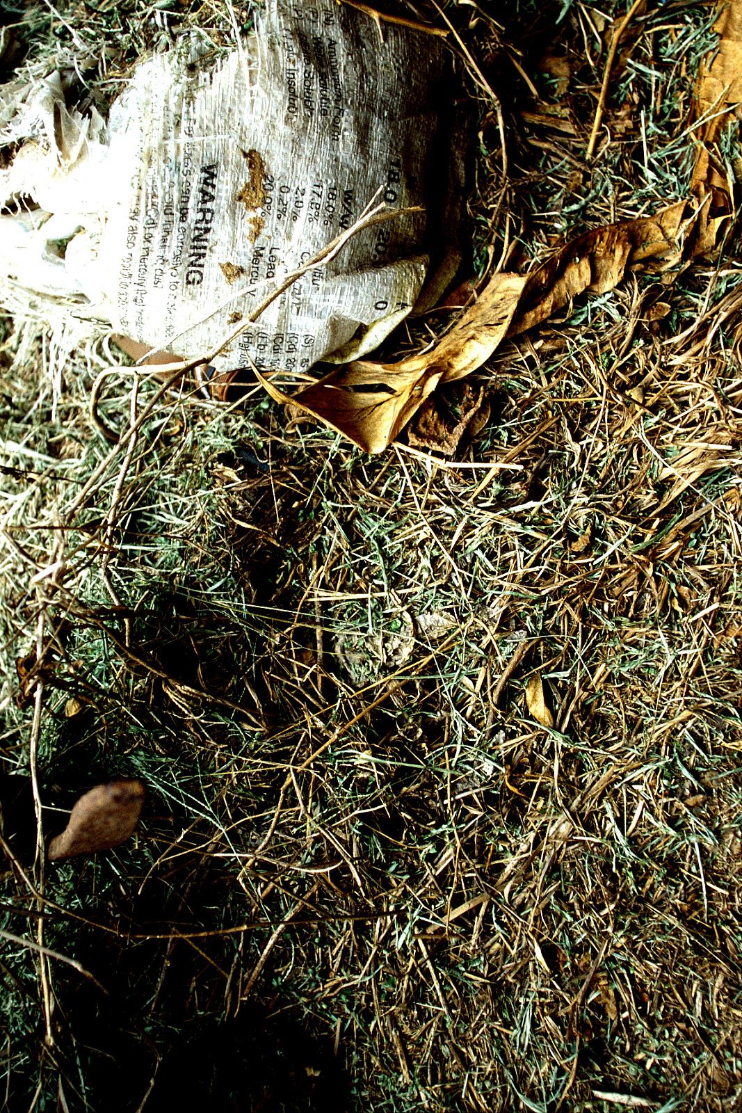 SF-No.204 Moemi Tominaga 富永萌美 -UNDERAGE!-图48