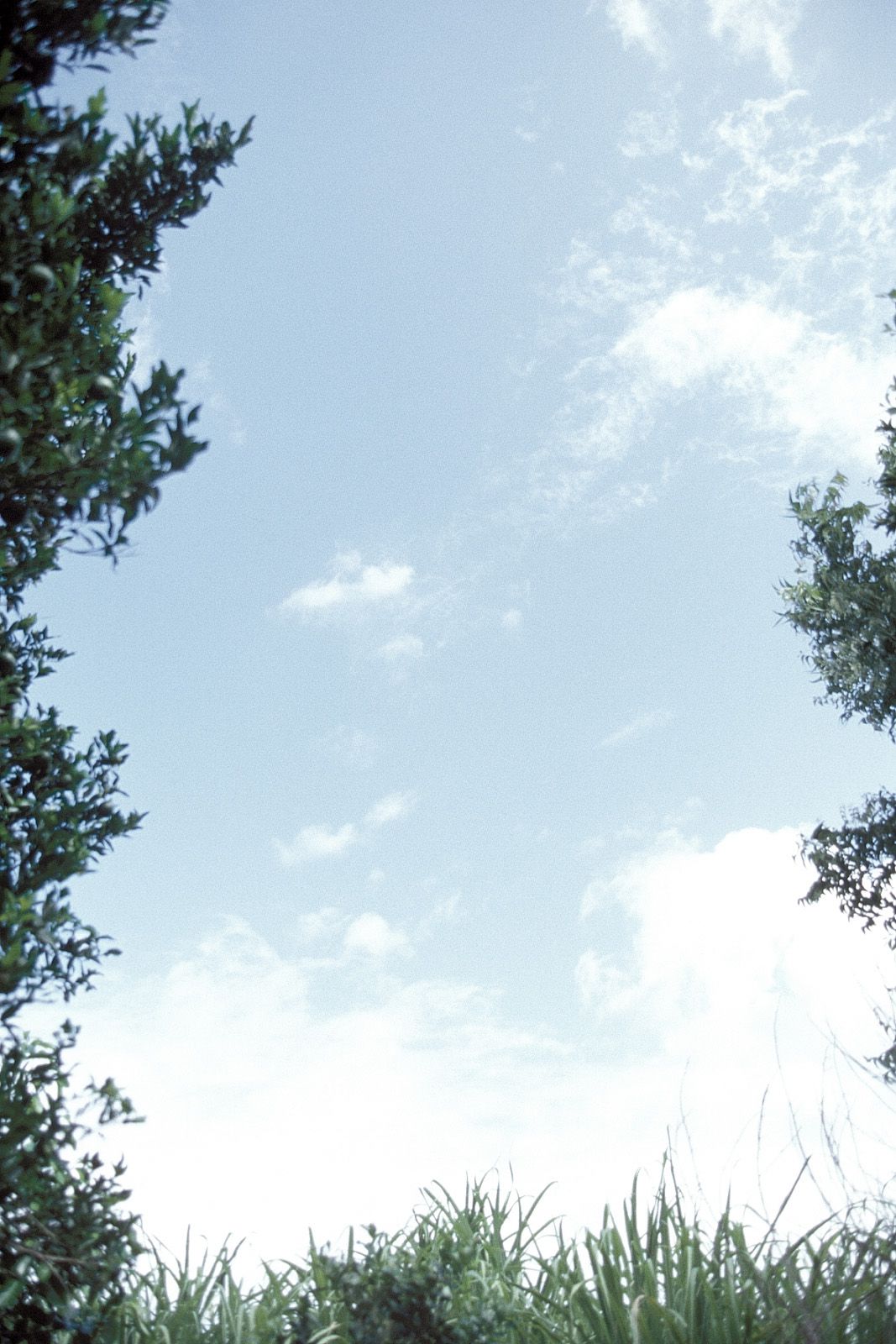 SF-No.204 Moemi Tominaga 富永萌美 -UNDERAGE!-图58