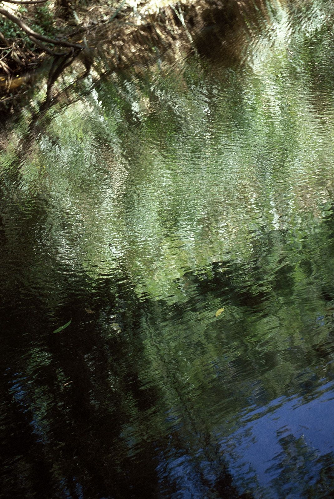 SF-No.204 Moemi Tominaga 富永萌美 -UNDERAGE!-图69