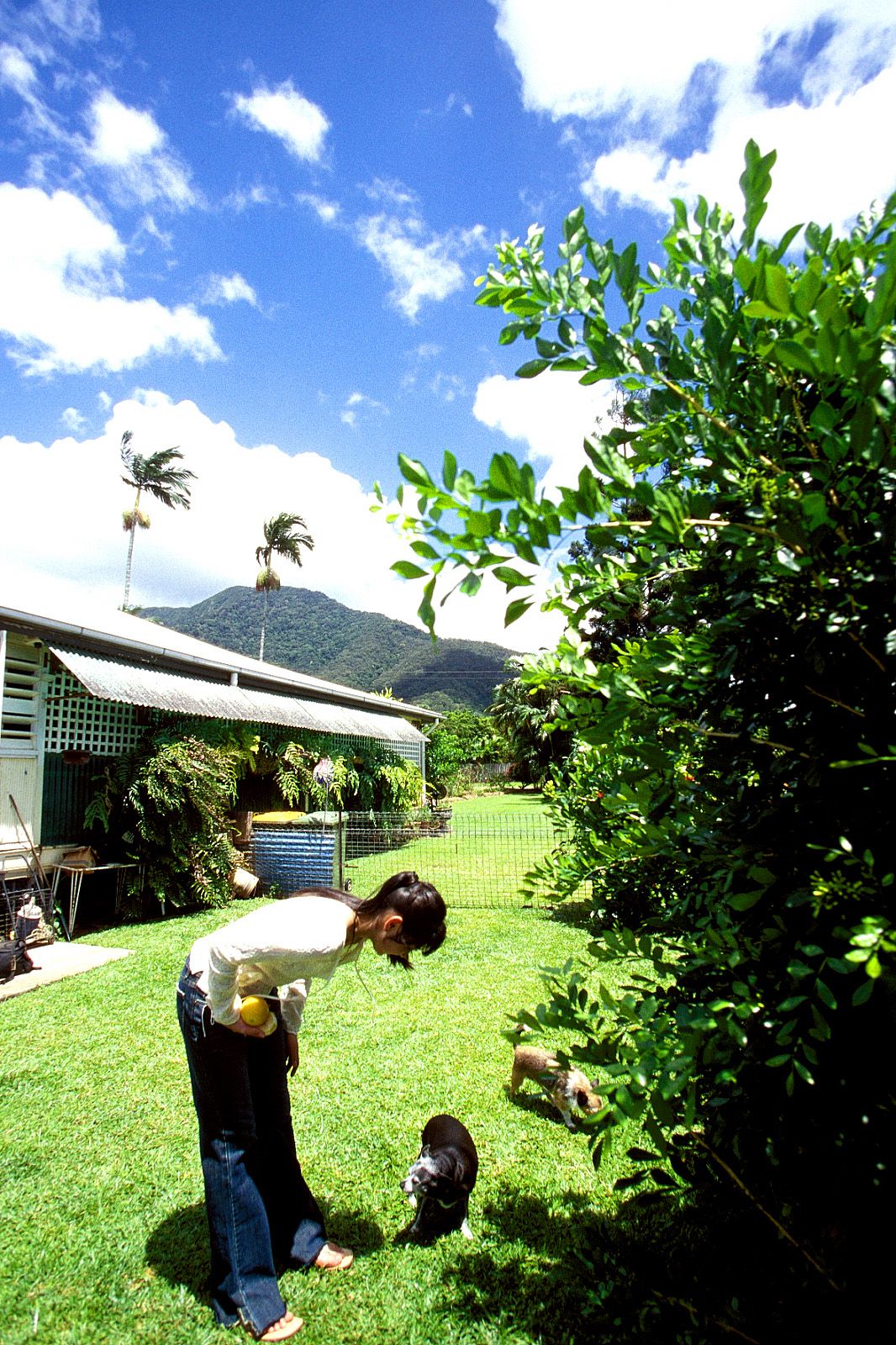 SF-No.204 Moemi Tominaga 富永萌美 -UNDERAGE!-图77