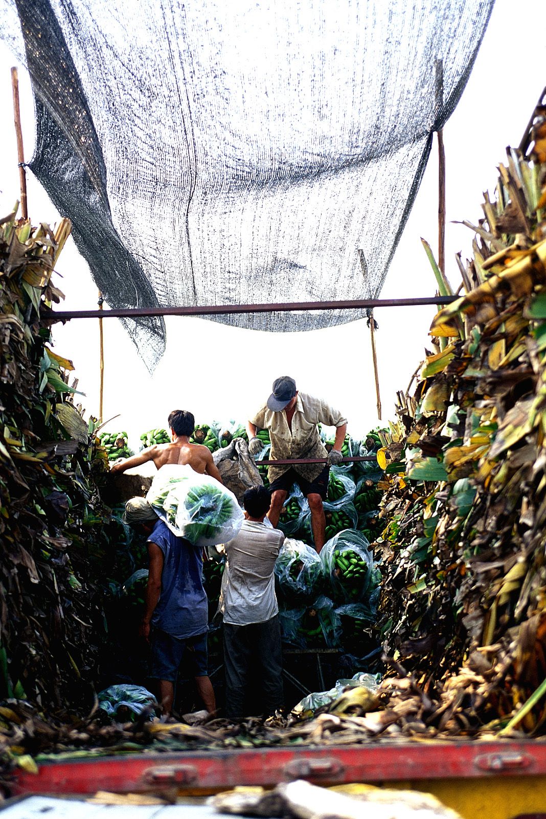 SF-No.209 Mari Hoshino 星野真理-图26