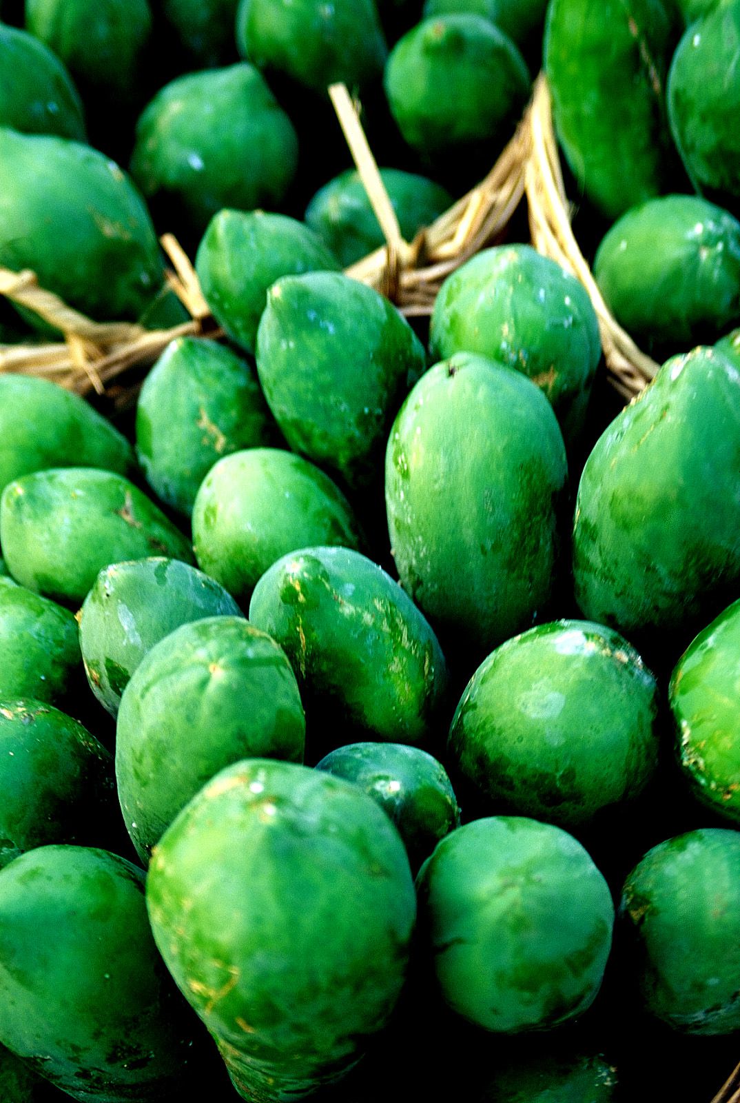 SF-No.209 Mari Hoshino 星野真理-图28