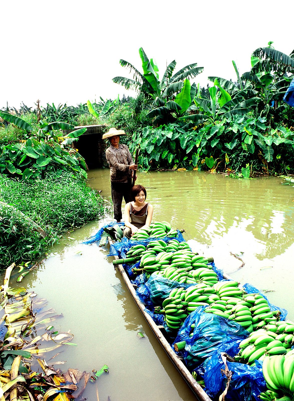 SF-No.209 Mari Hoshino 星野真理-图39