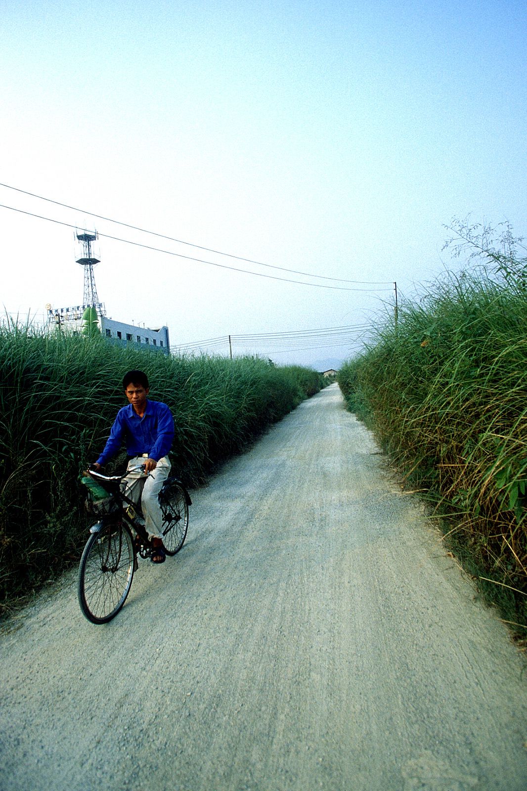 SF-No.209 Mari Hoshino 星野真理-图60