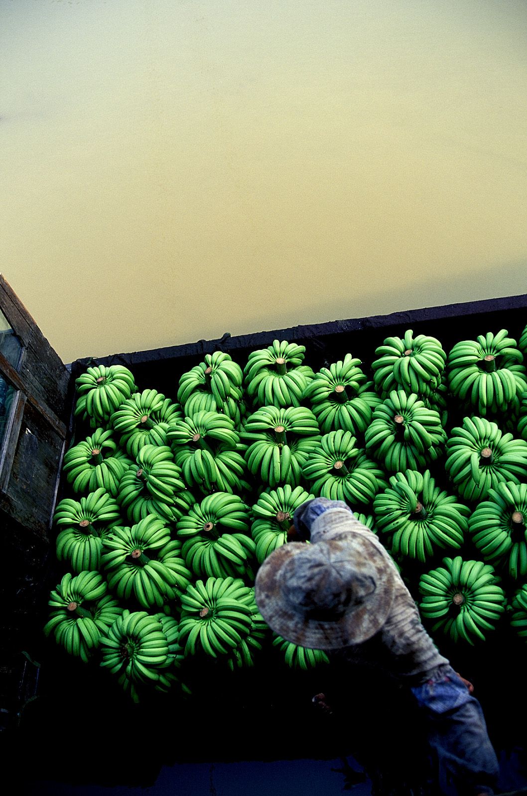 SF-No.209 Mari Hoshino 星野真理-图61