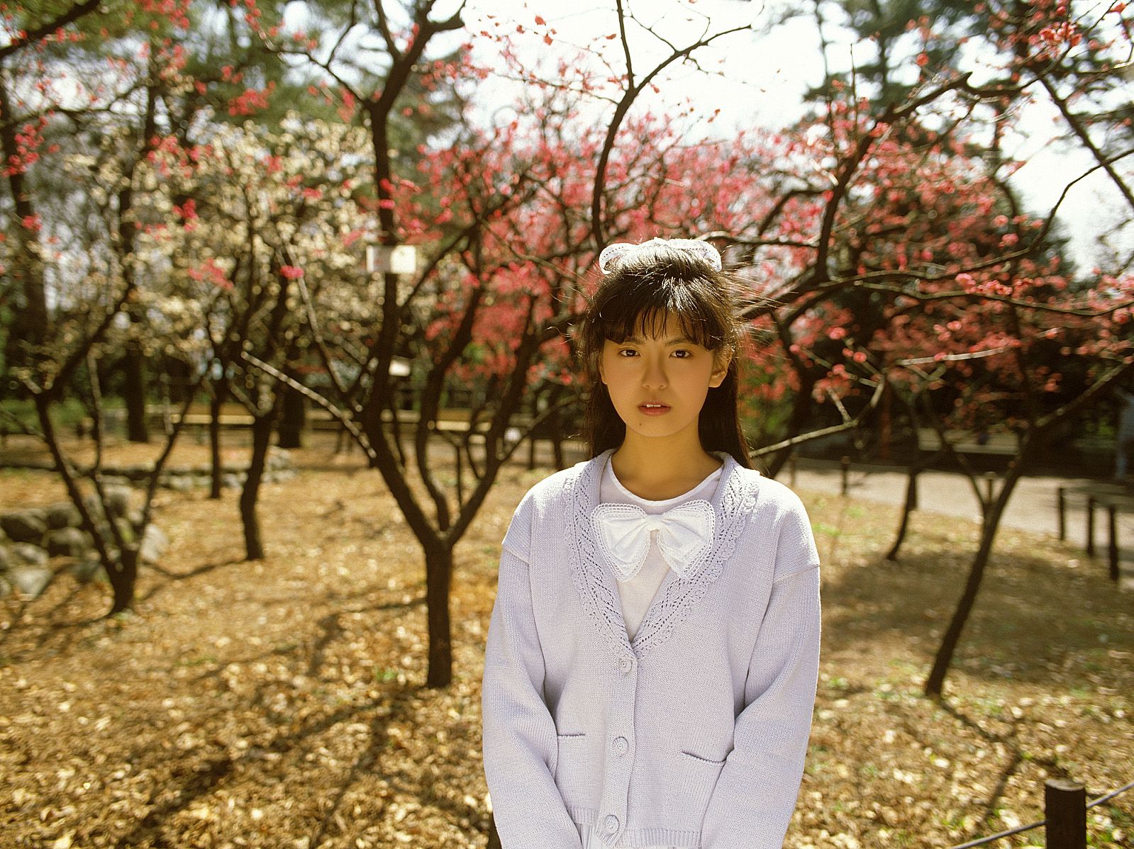 SF-No.212 Yoko Minamino 南野陽子-图14