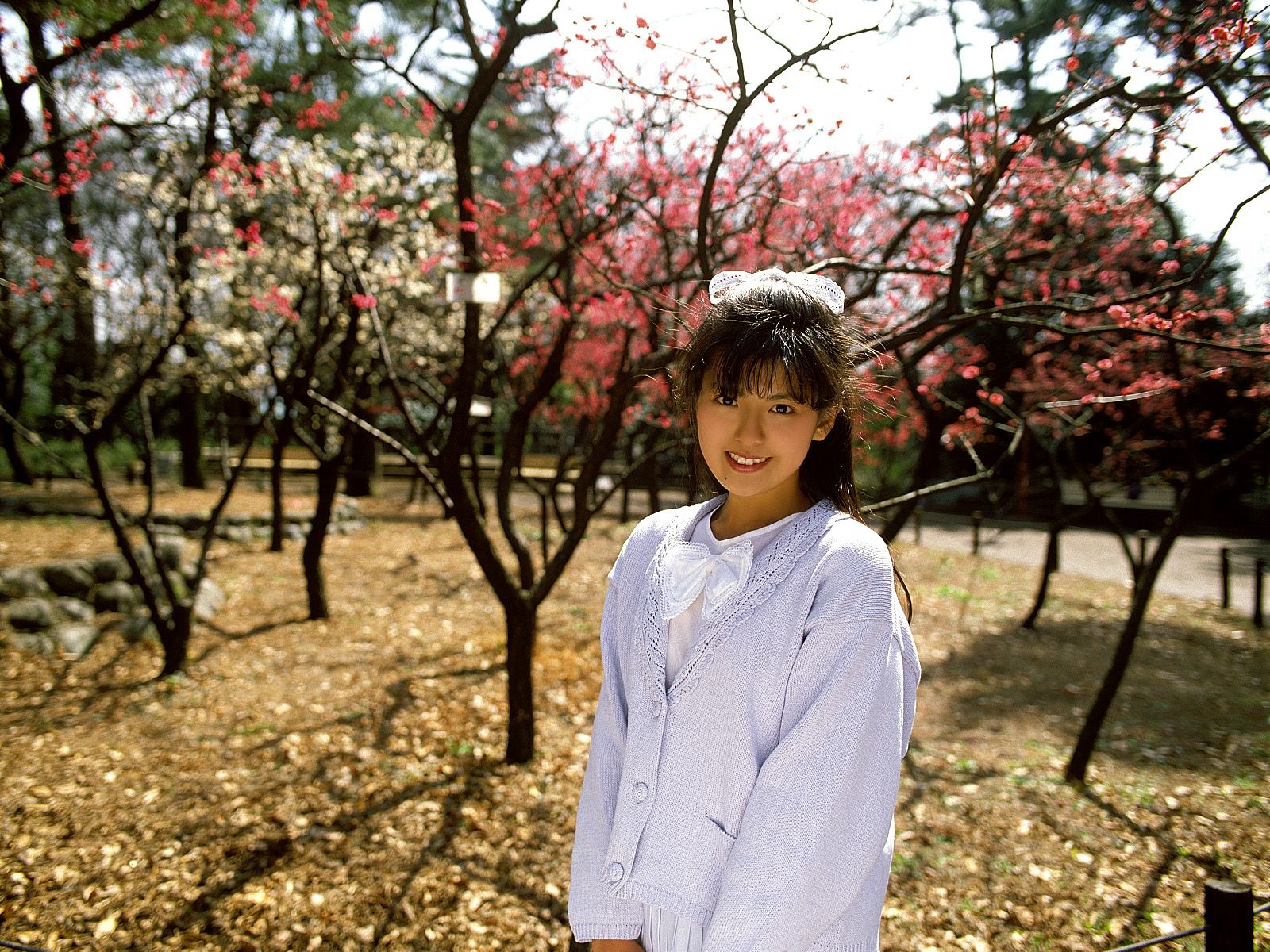 SF-No.212 Yoko Minamino 南野陽子-图15