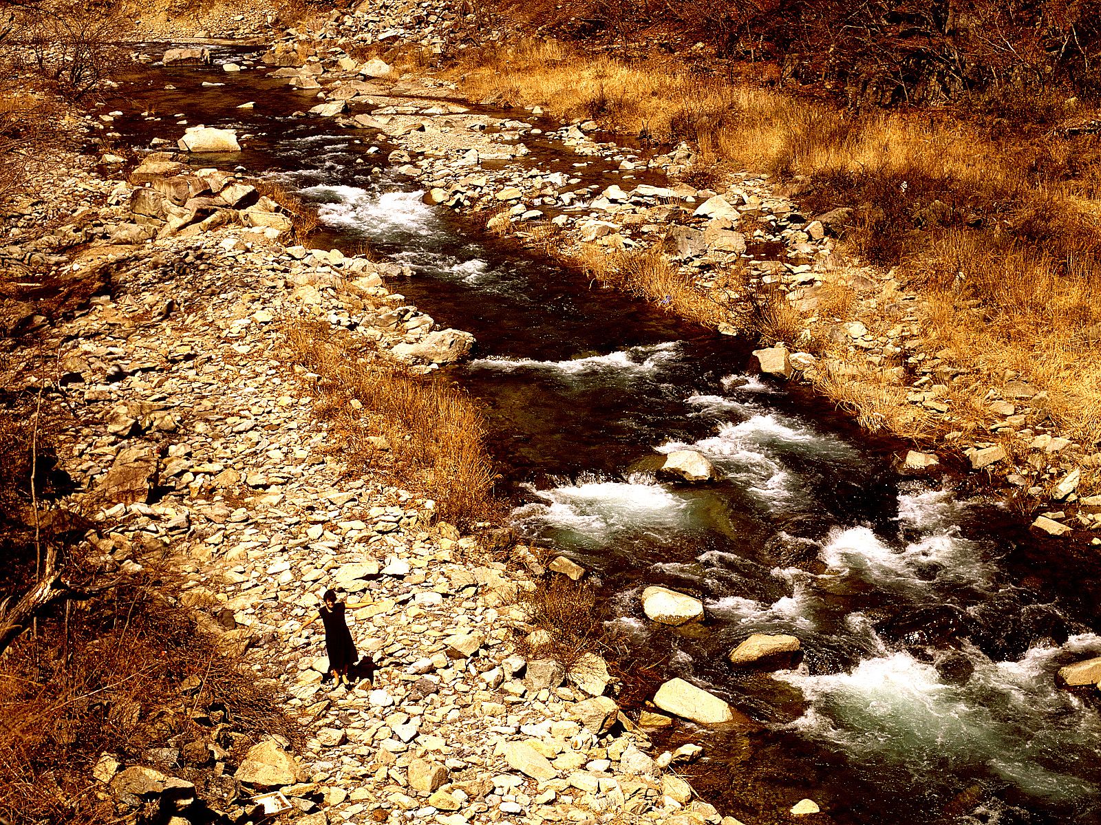 SF-No.212 Yoko Minamino 南野陽子-图73