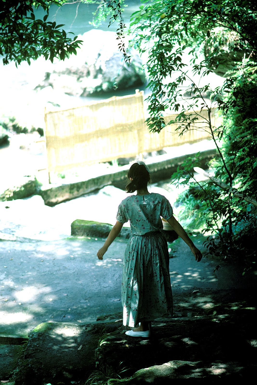 SF-No.213 Yoko Minamino 南野阳子/南野陽子-图21