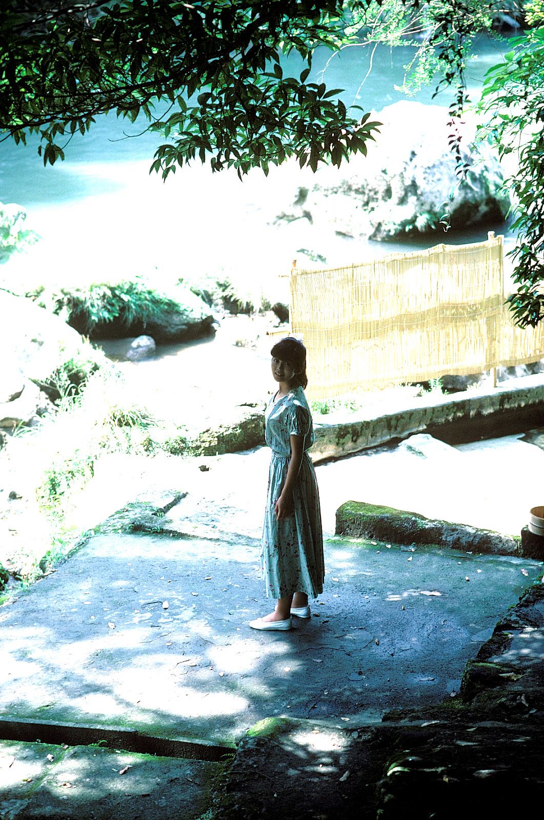 SF-No.213 Yoko Minamino 南野阳子/南野陽子-图23