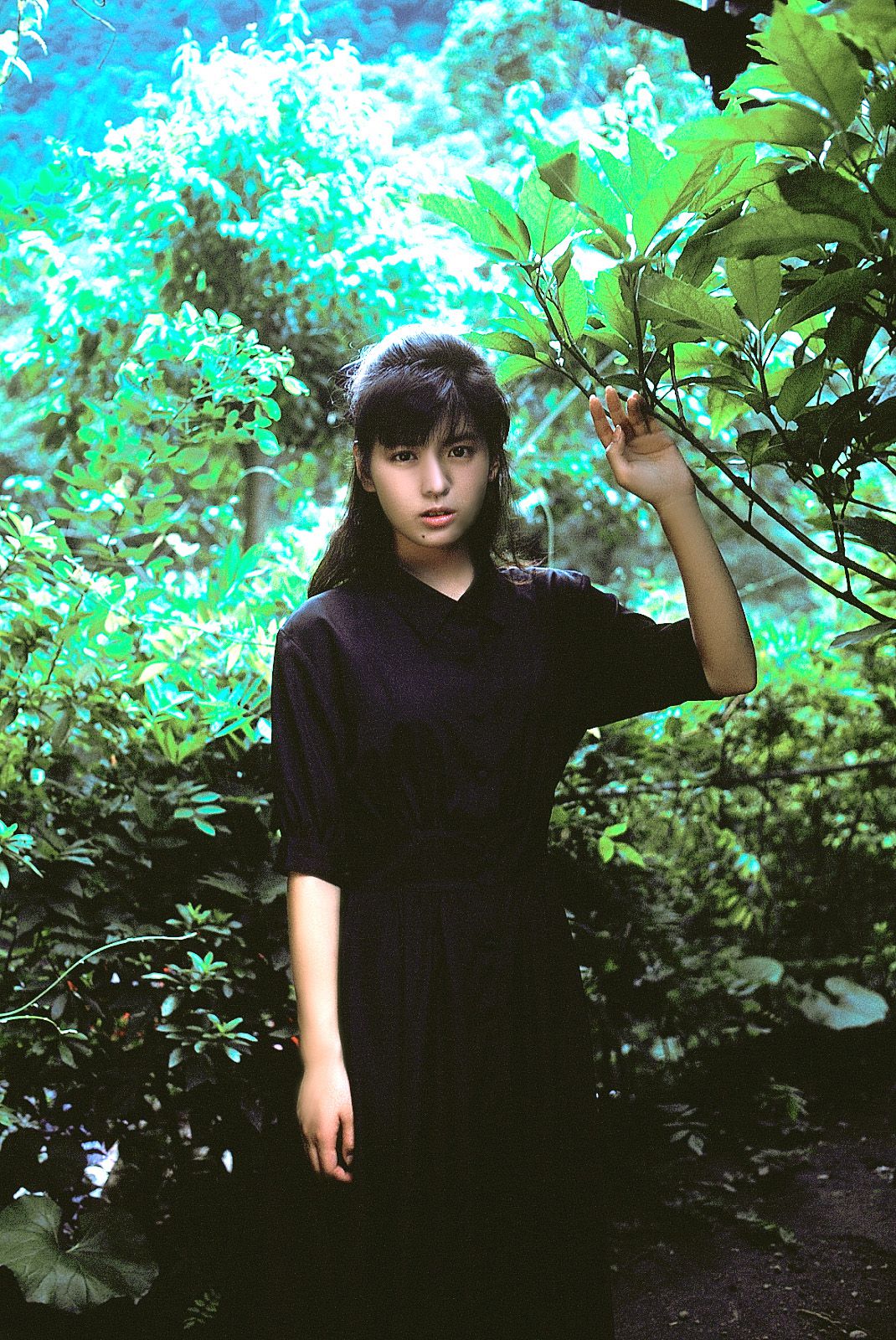 SF-No.213 Yoko Minamino 南野阳子/南野陽子-图46