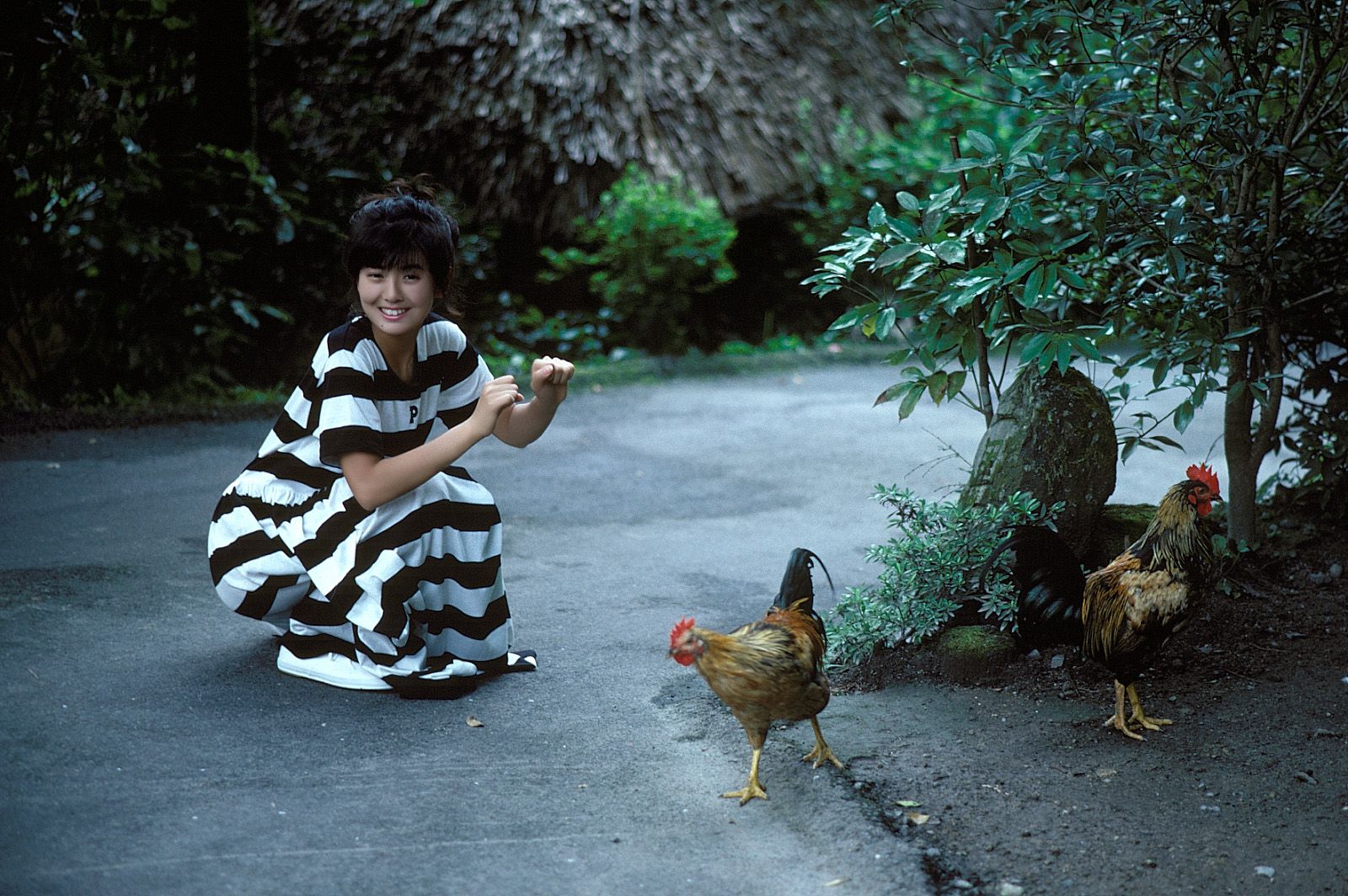 SF-No.213 Yoko Minamino 南野阳子/南野陽子-图60