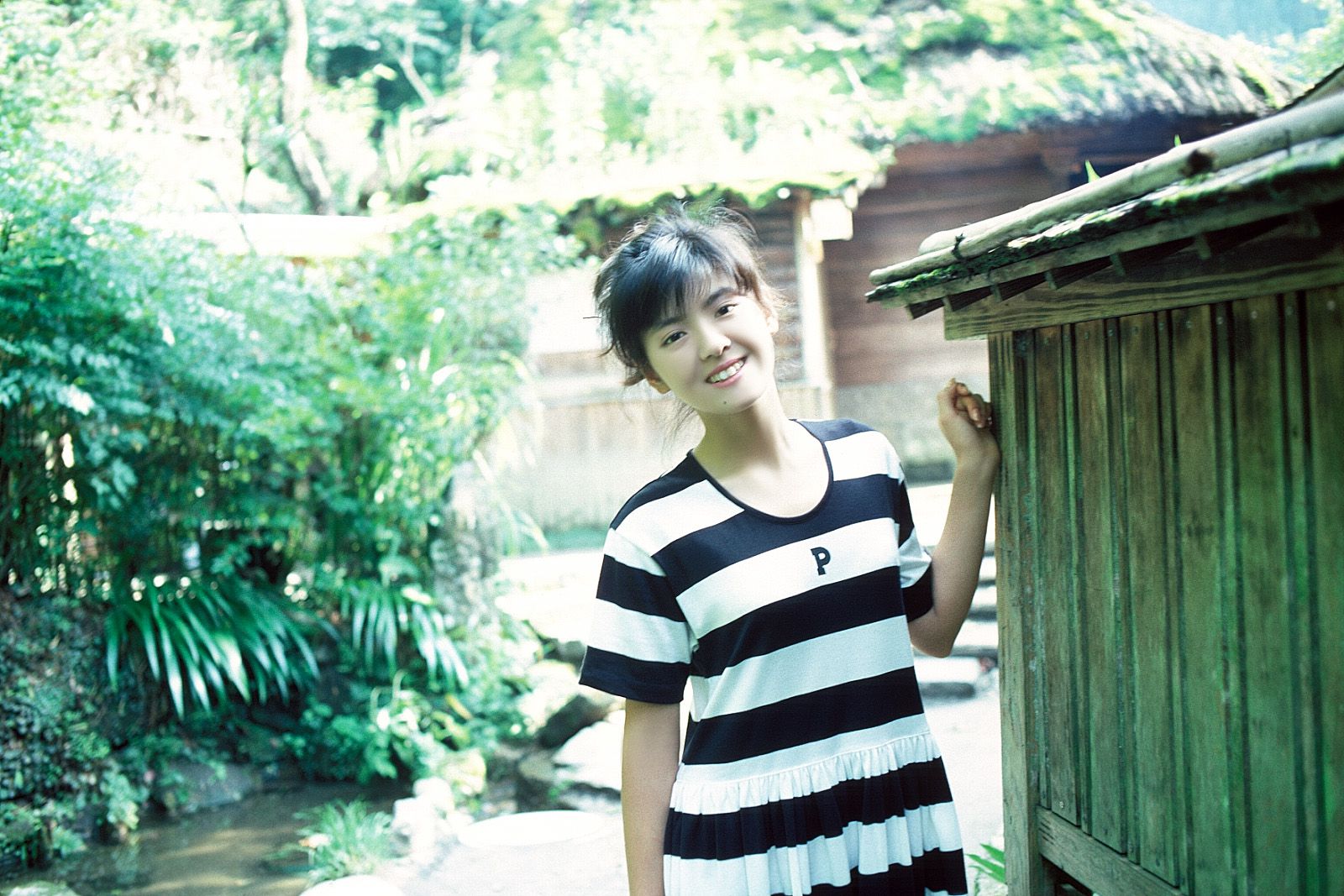 SF-No.213 Yoko Minamino 南野阳子/南野陽子-图67