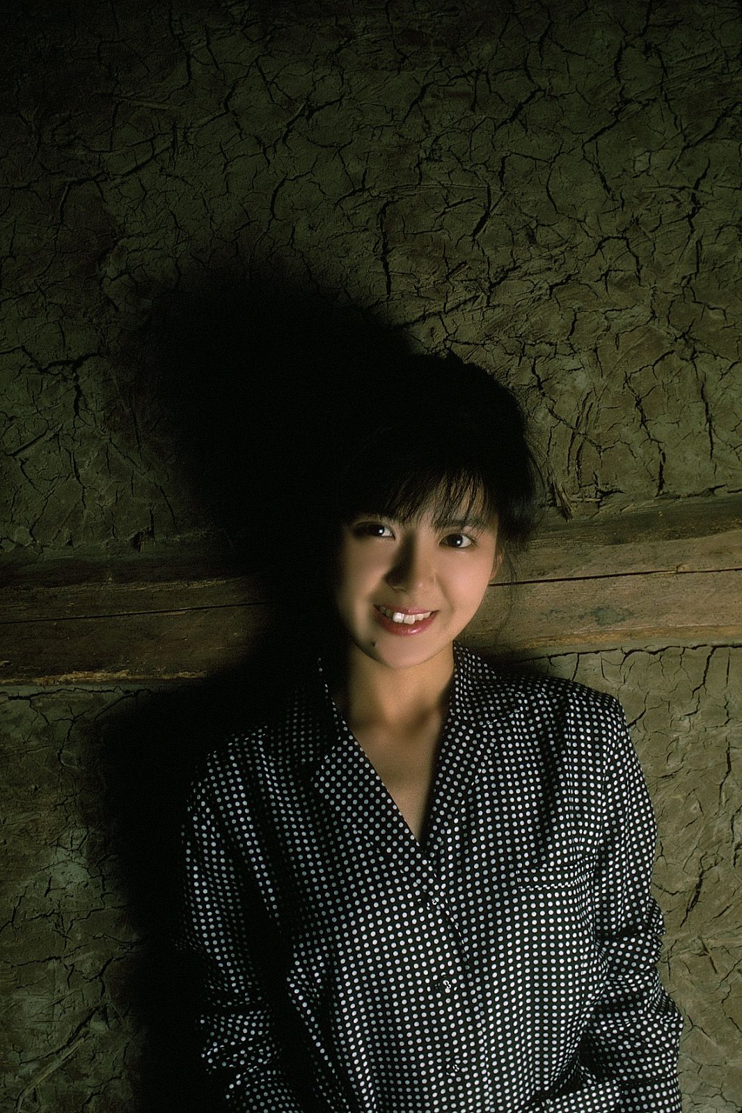 SF-No.213 Yoko Minamino 南野阳子/南野陽子-图83