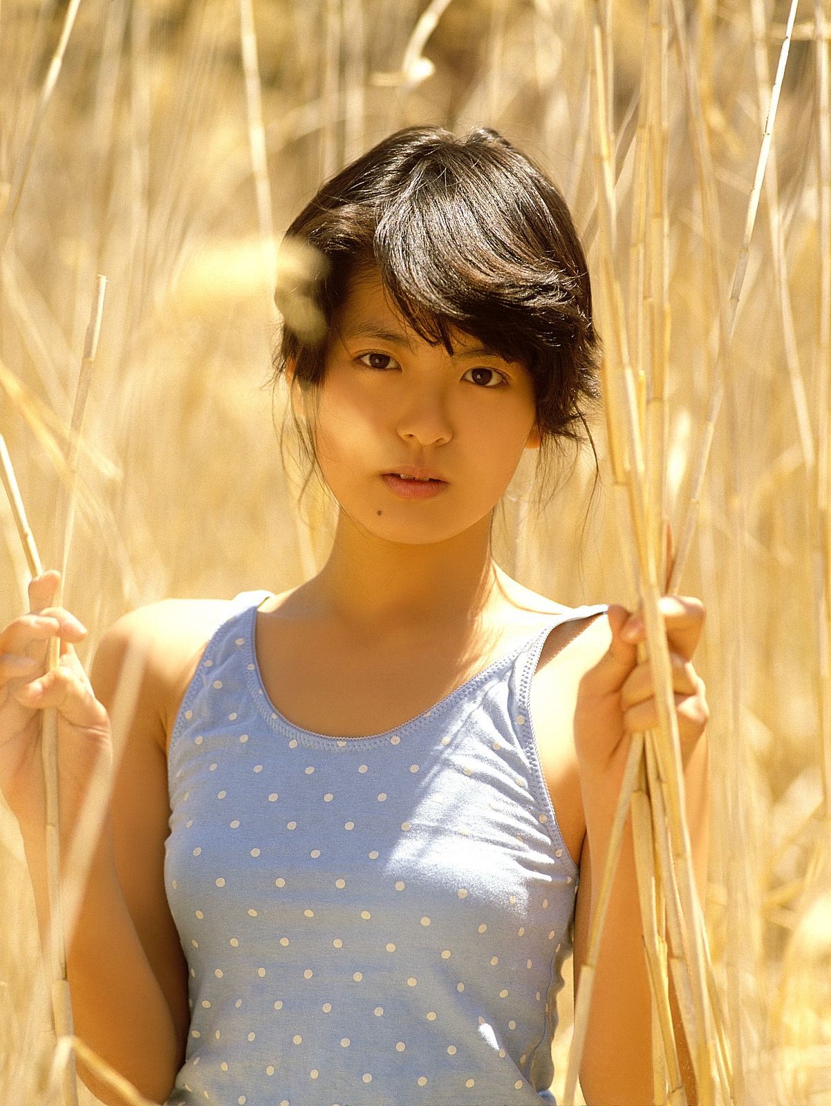 SF-No.214 Yoko Minamino 南野阳子-图11