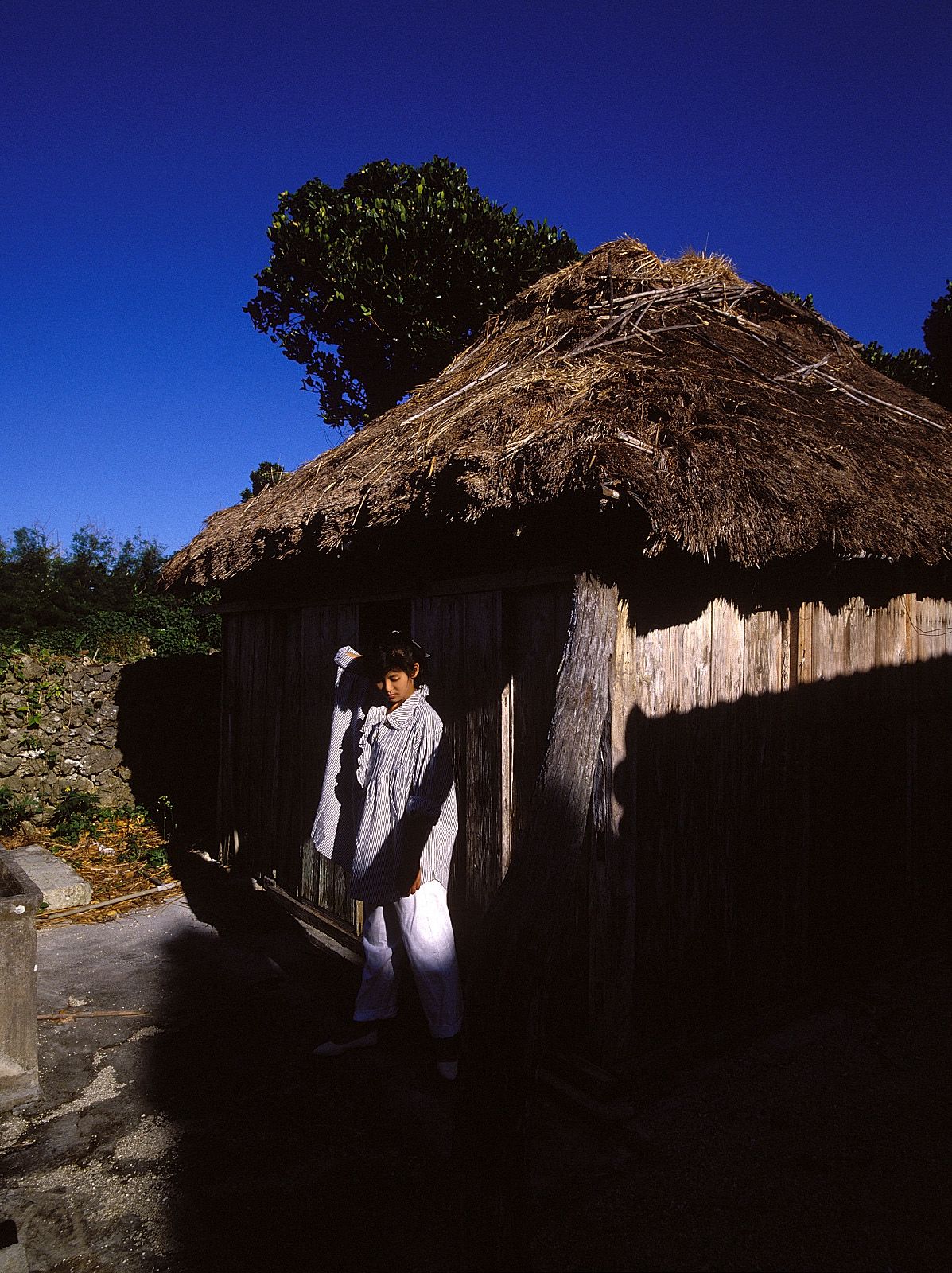 SF-No.214 Yoko Minamino 南野阳子-图17