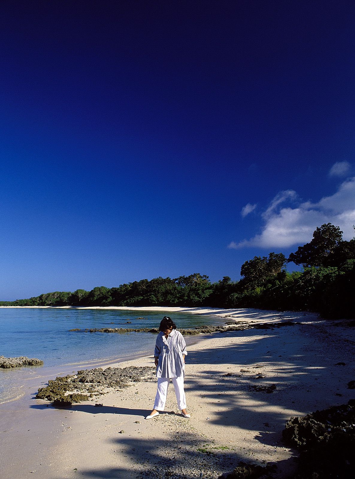 SF-No.214 Yoko Minamino 南野阳子-图1