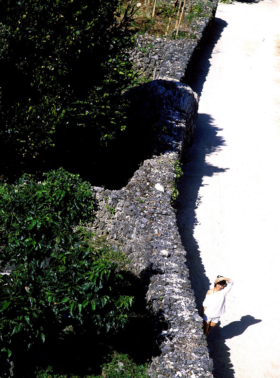 SF-No.214 Yoko Minamino 南野阳子-图34