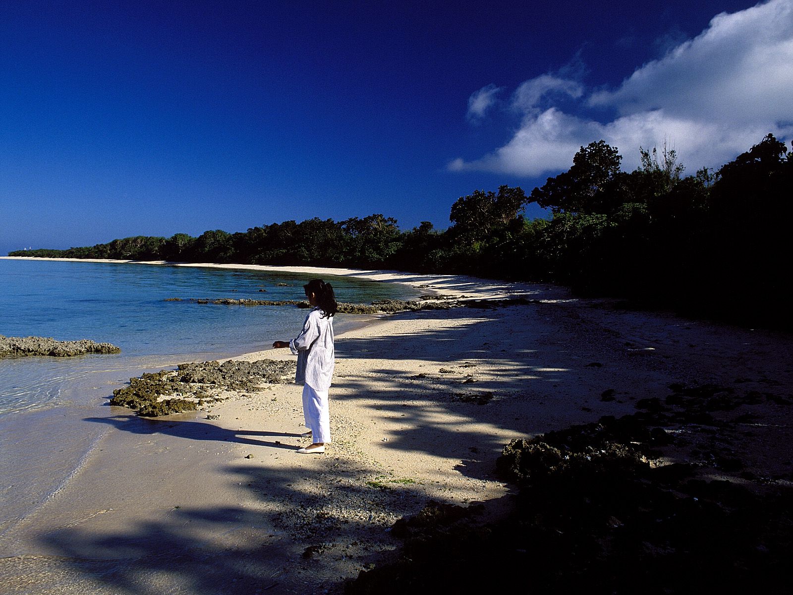 SF-No.214 Yoko Minamino 南野阳子-图3