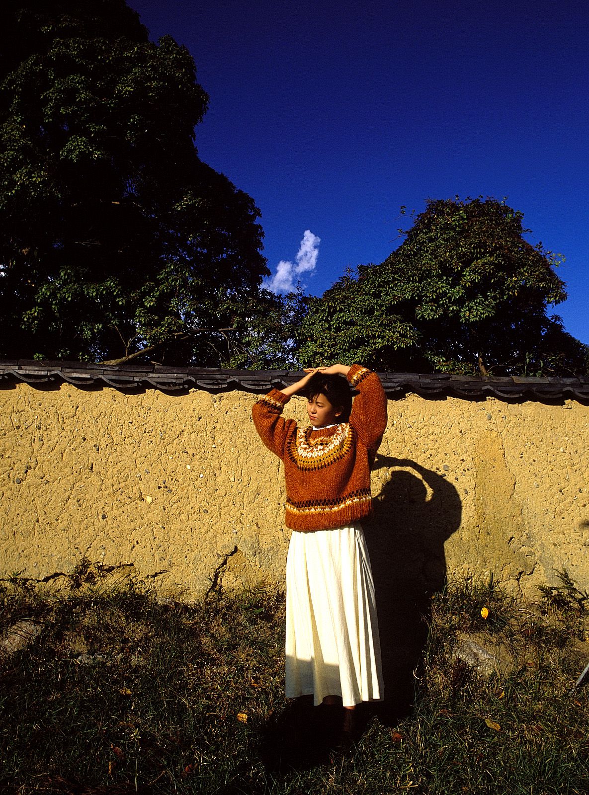 SF-No.214 Yoko Minamino 南野阳子-图49