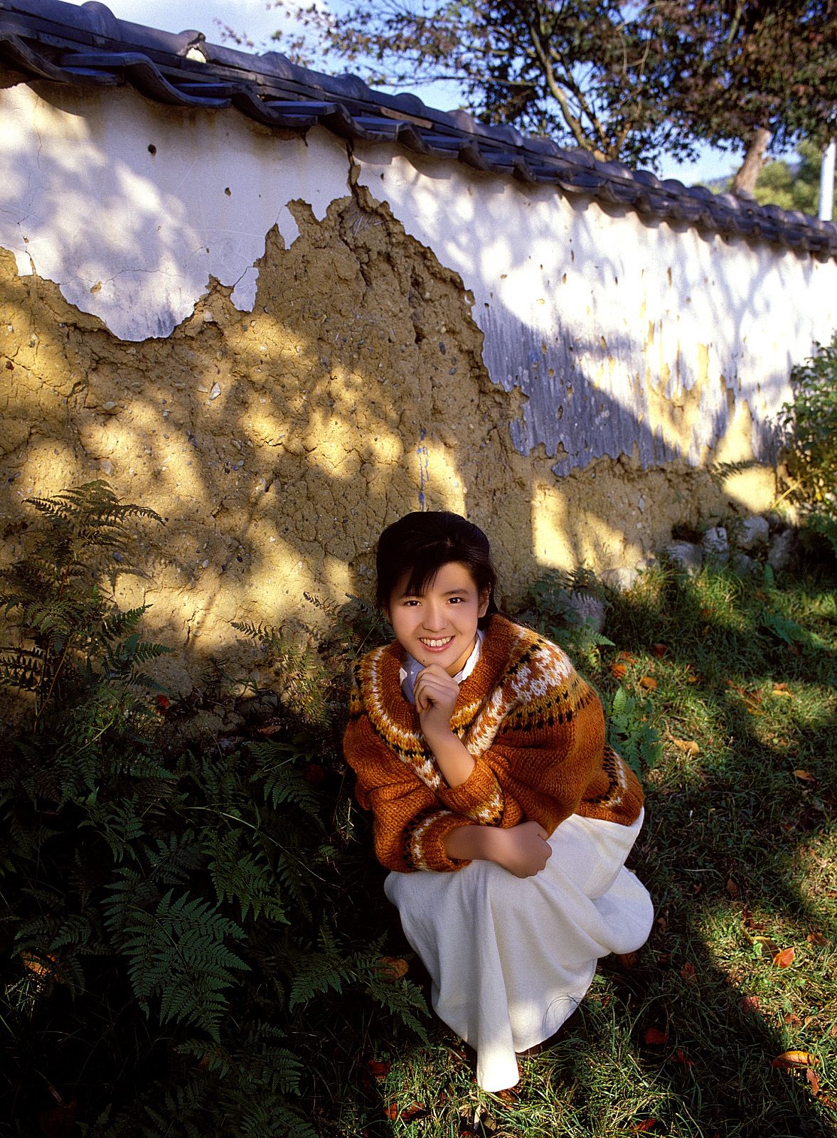 SF-No.214 Yoko Minamino 南野阳子-图53