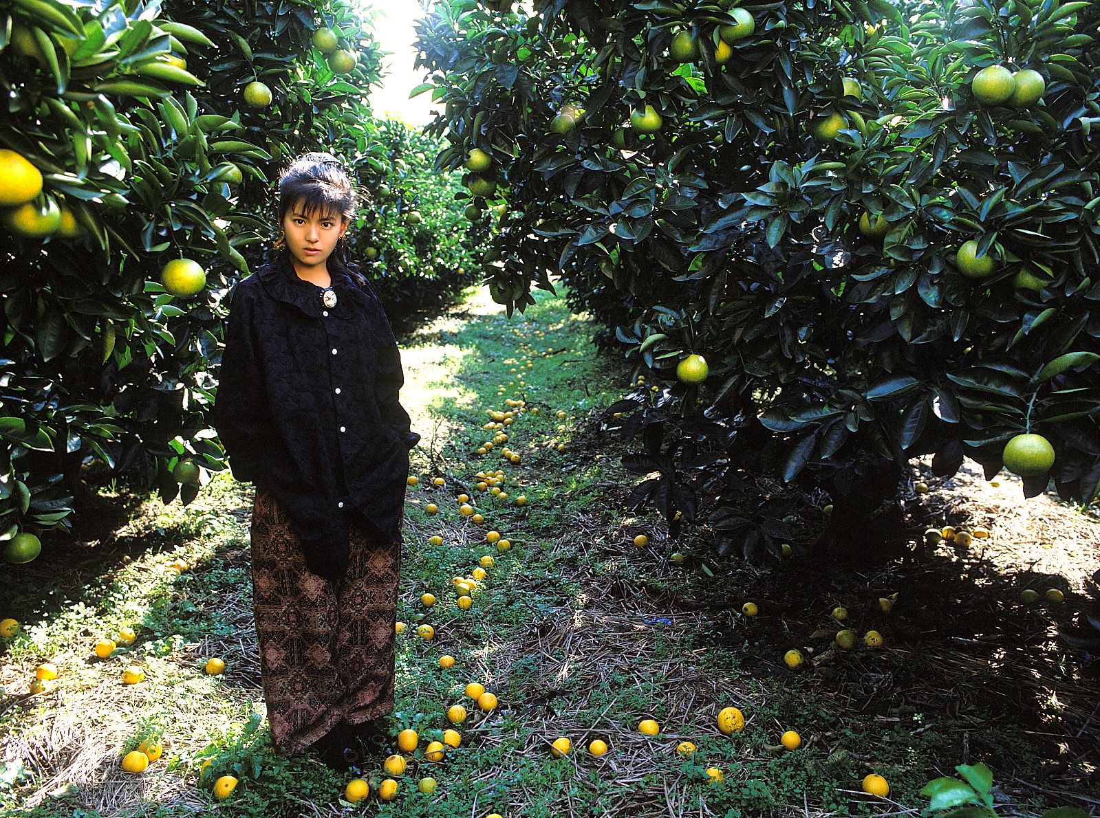 SF-No.214 Yoko Minamino 南野阳子-图67