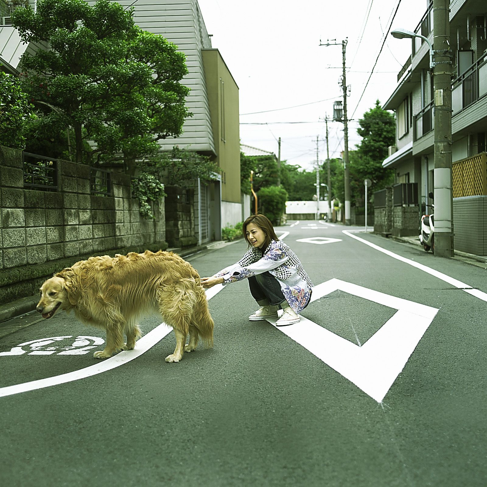 SF-No.216 Masako Umemiya 梅宮万紗子/梅宫万纱子-图39