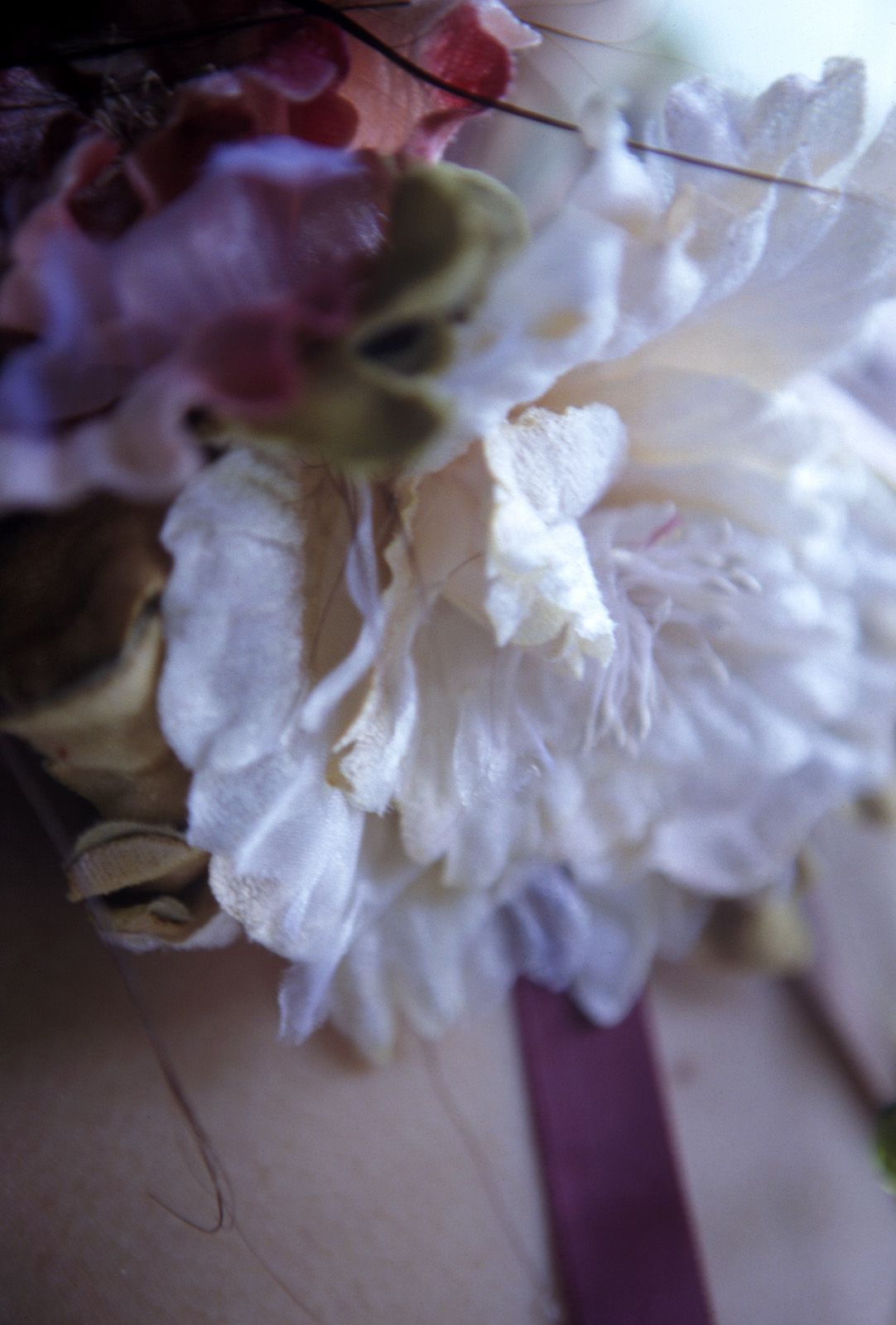 SF-No.312 Akari Hoshino 星野あかり-图15