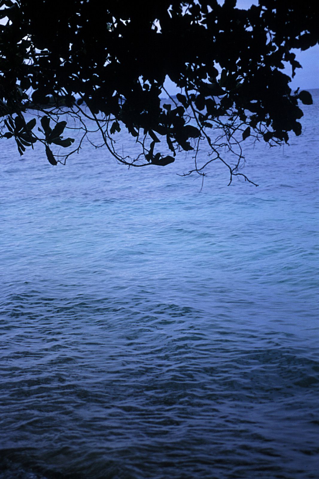 SF-No.312 Akari Hoshino 星野あかり-图41