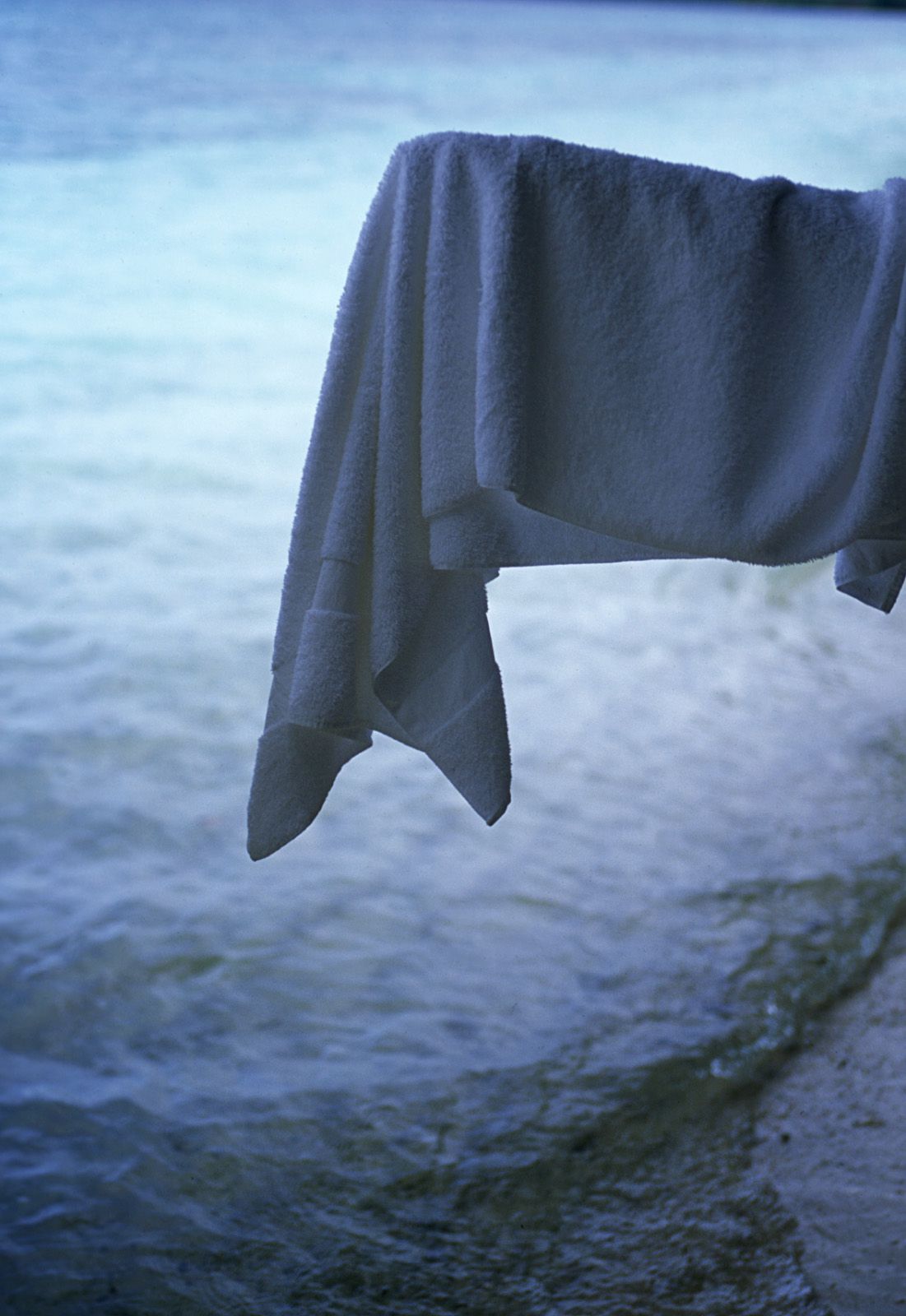 SF-No.312 Akari Hoshino 星野あかり-图42