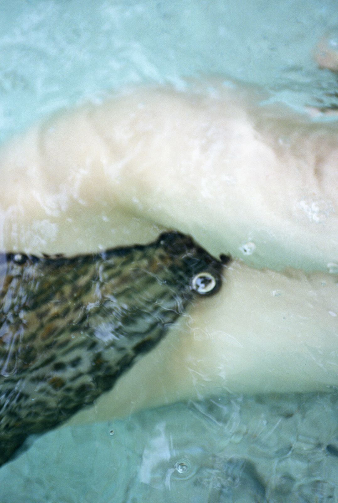 SF-No.312 Akari Hoshino 星野あかり-图49