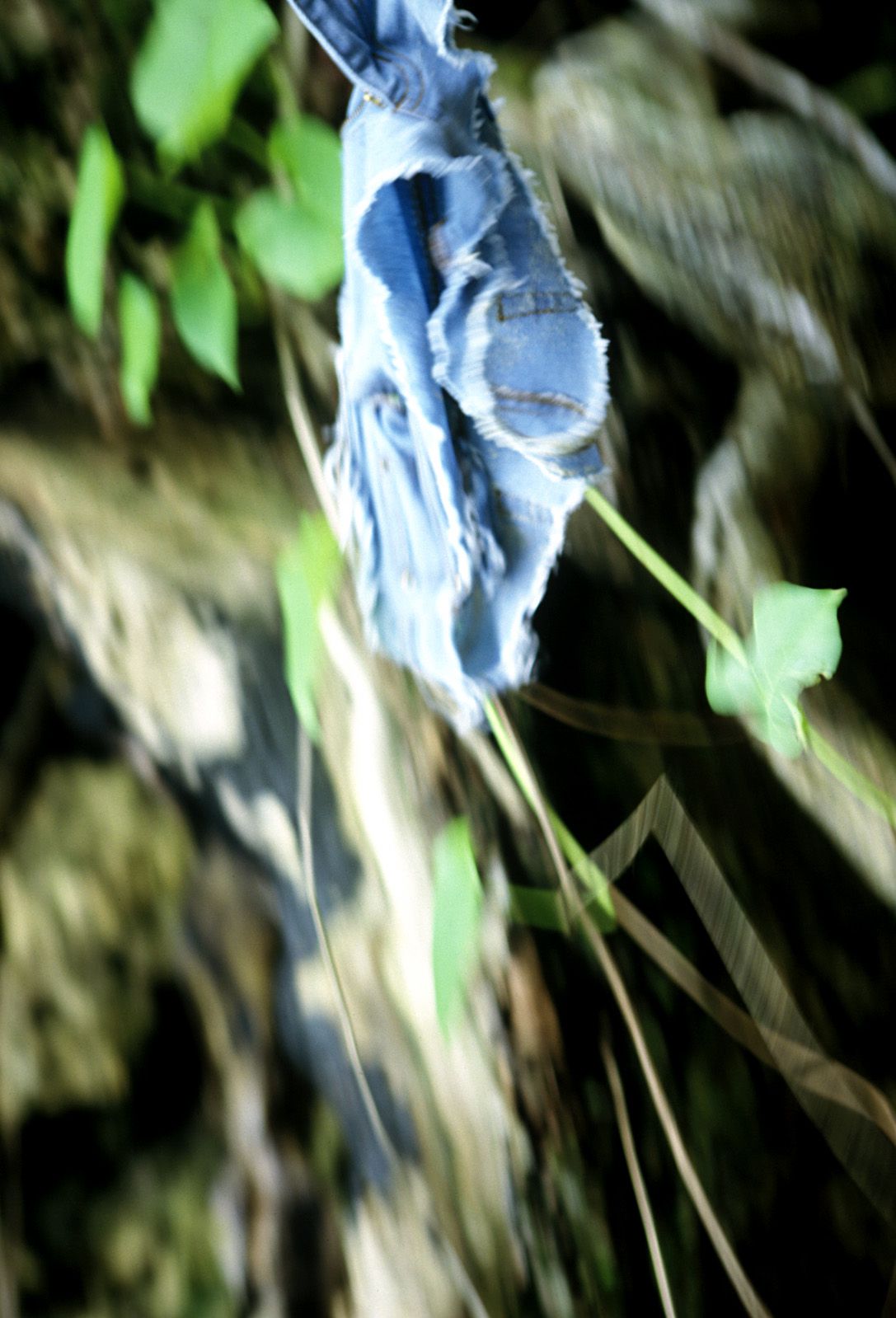 SF-No.312 Akari Hoshino 星野あかり-图52