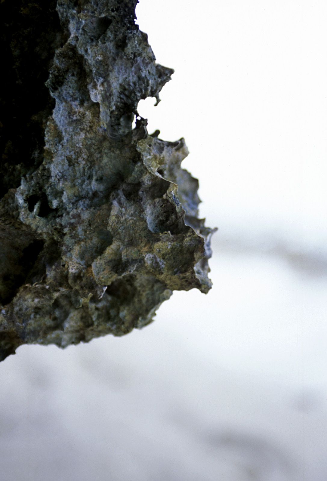 SF-No.312 Akari Hoshino 星野あかり-图57