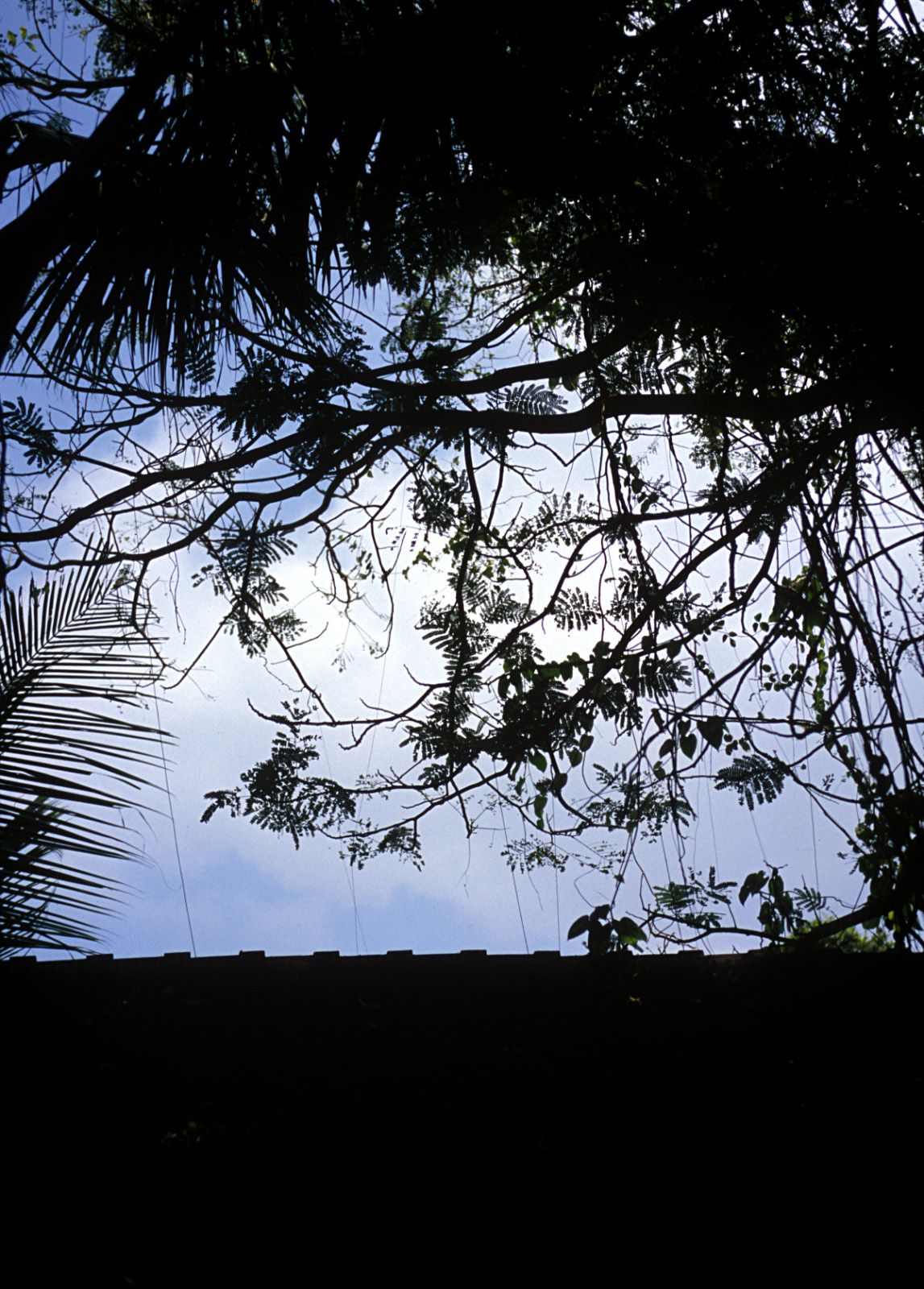 SF-No.321 Mika Ito 伊東美華-图10