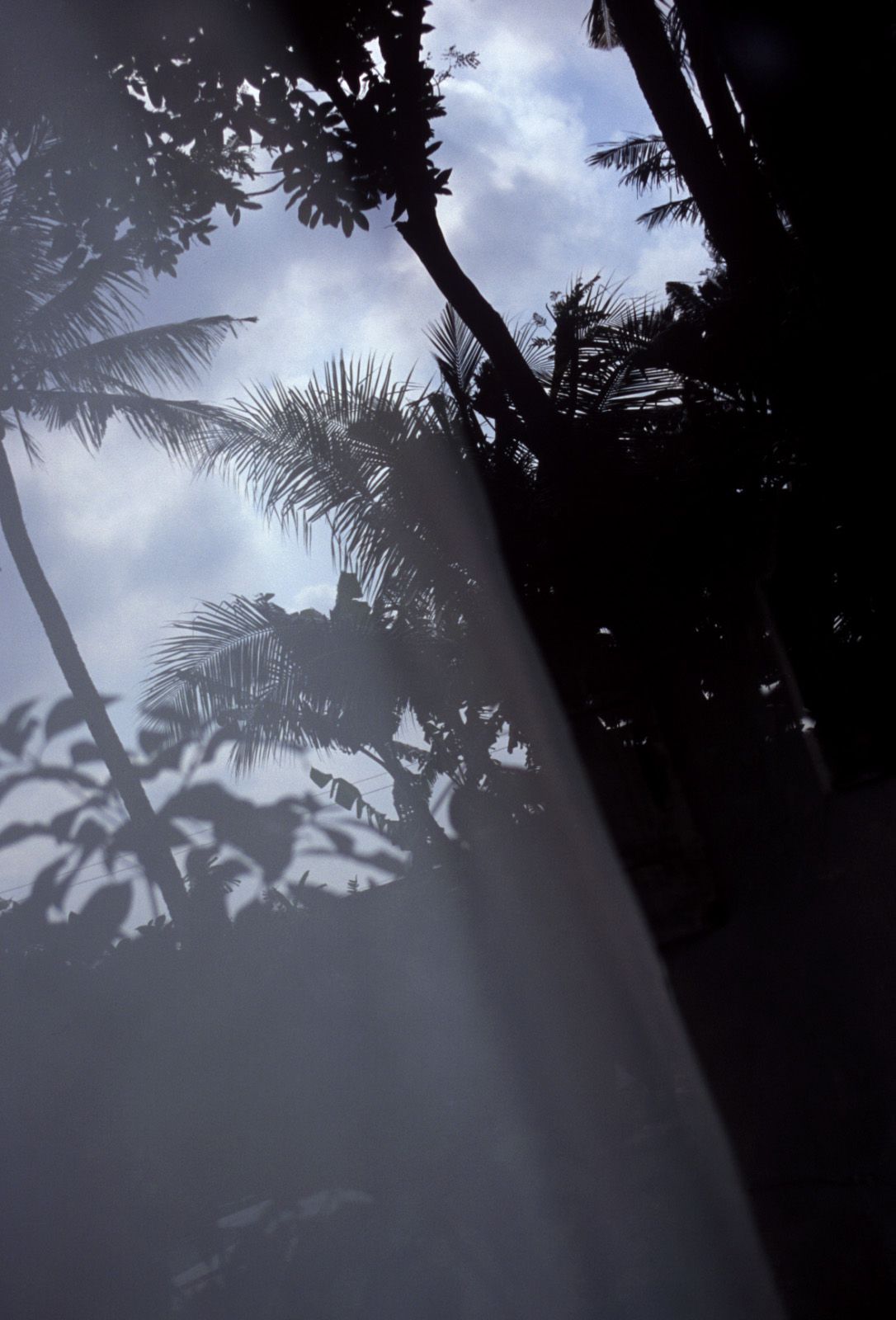 SF-No.321 Mika Ito 伊東美華-图11