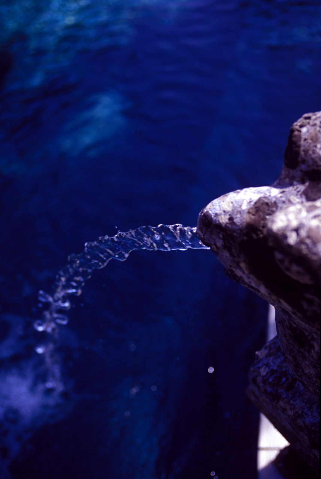 SF-No.321 Mika Ito 伊東美華-图24