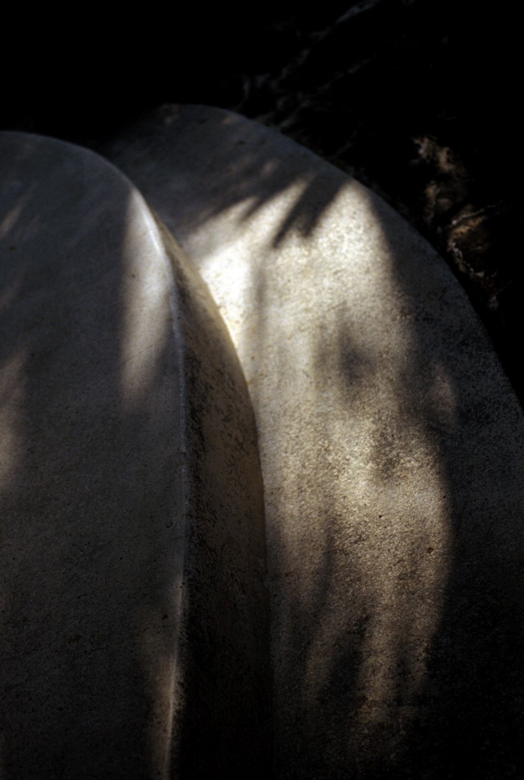 SF-No.321 Mika Ito 伊東美華-图27