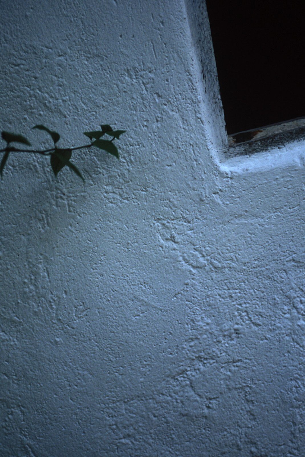 SF-No.321 Mika Ito 伊東美華-图44