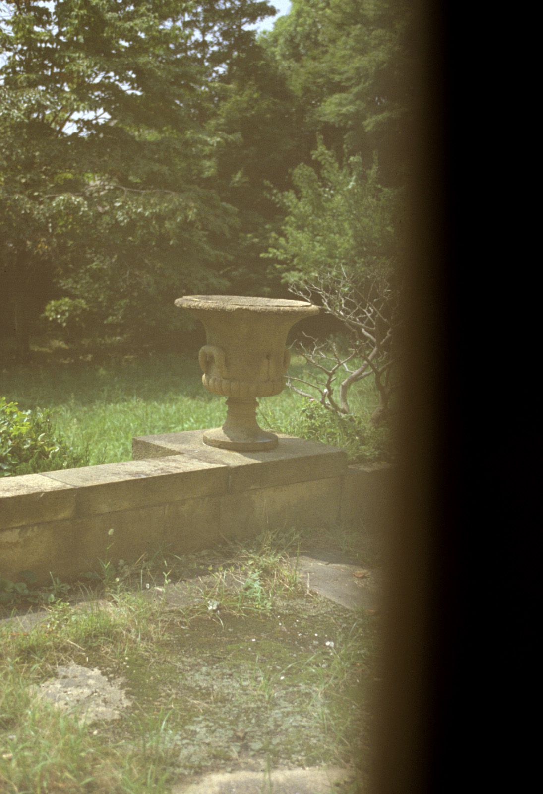 SF-No.322 Night Sight-图31