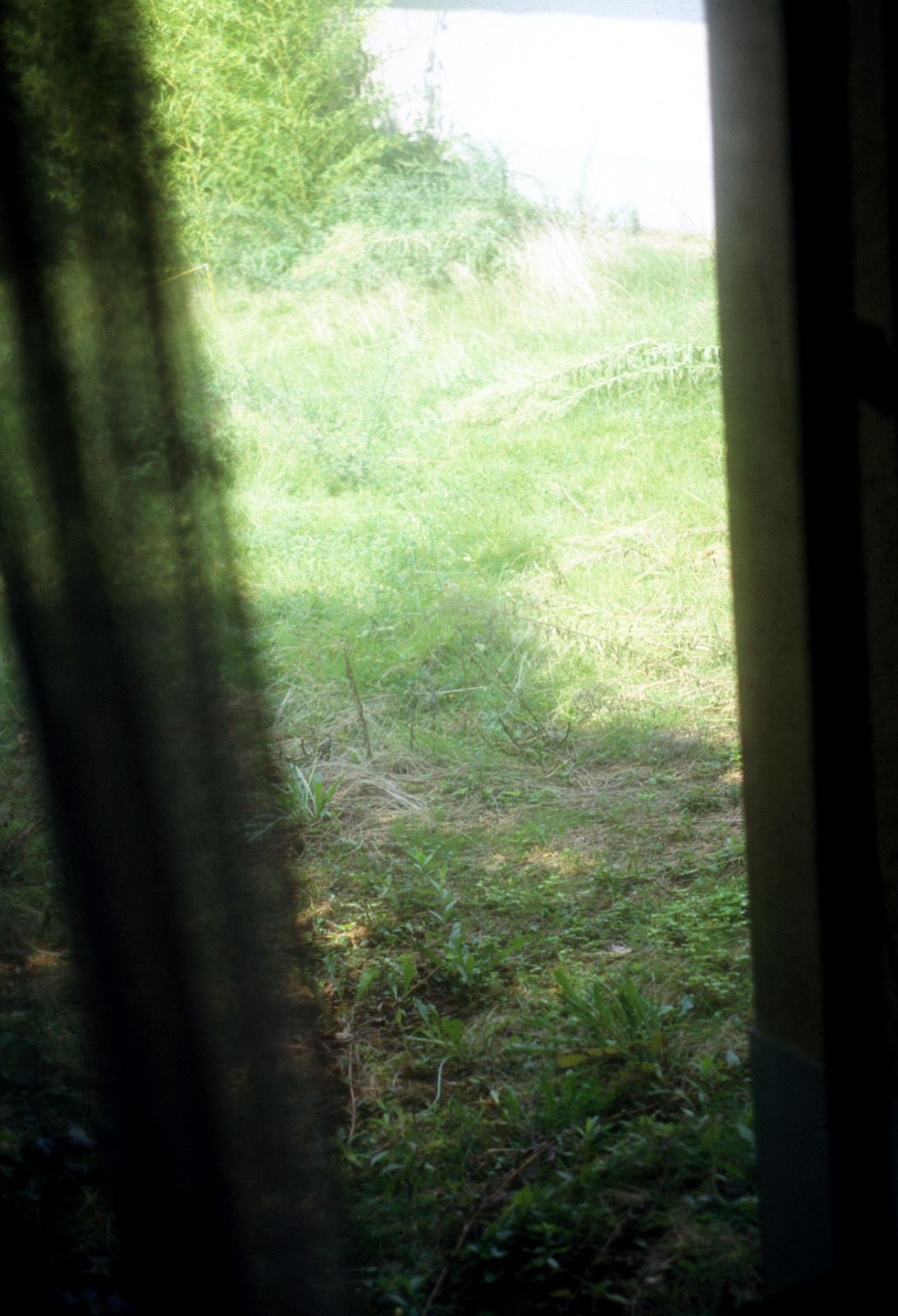 SF-No.322 Night Sight-图47