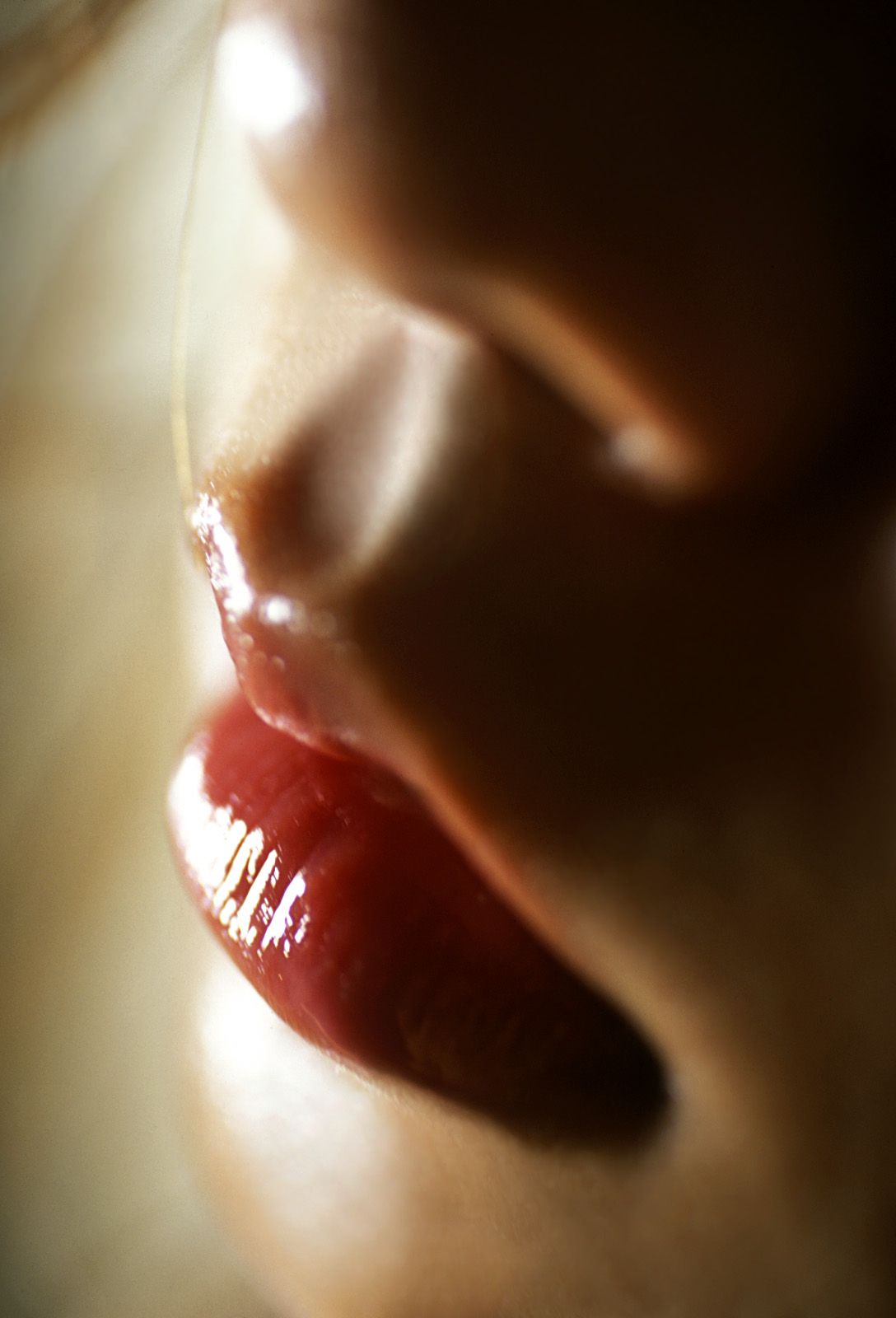 SF-No.322 Night Sight-图53