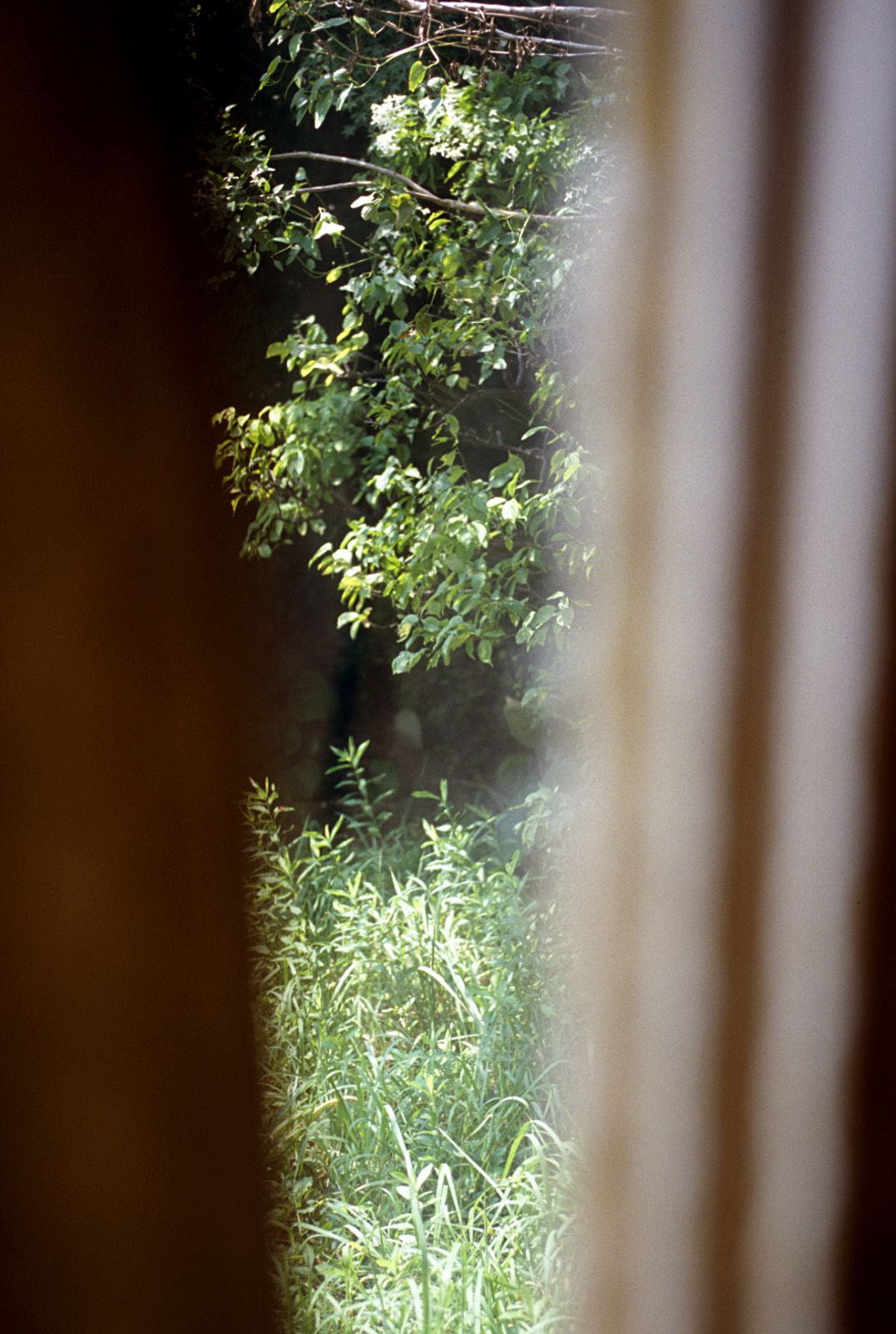 SF-No.322 Night Sight-图63