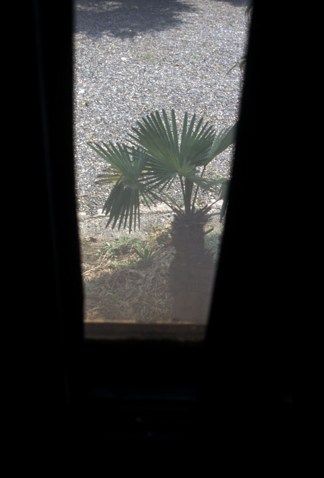 SF-No.322 Night Sight-图71