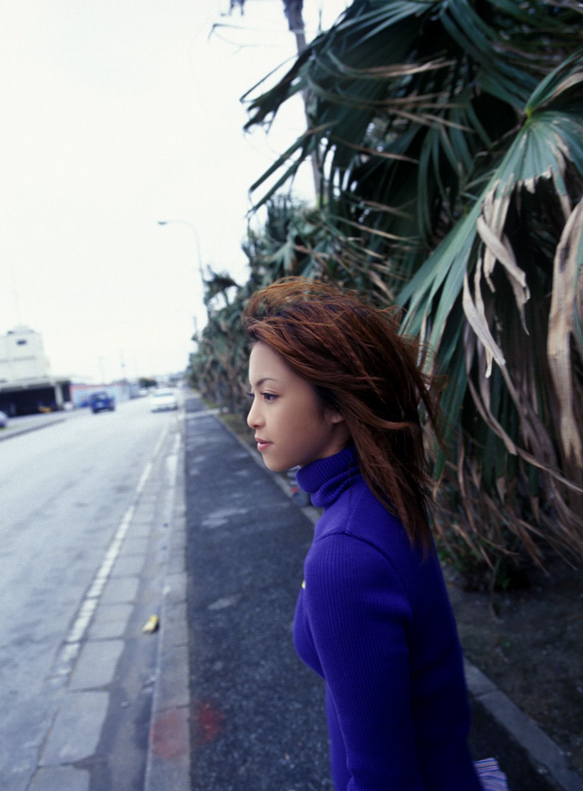 SF-No.333 Mayuko Iwasa 岩佐真悠子-图57