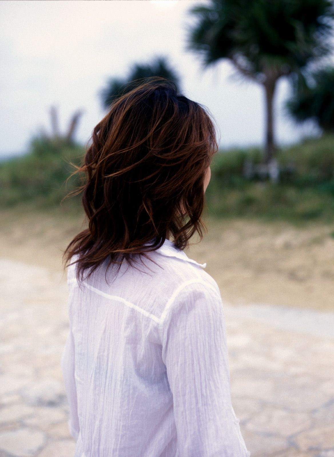 SF-No.333 Mayuko Iwasa 岩佐真悠子-图60