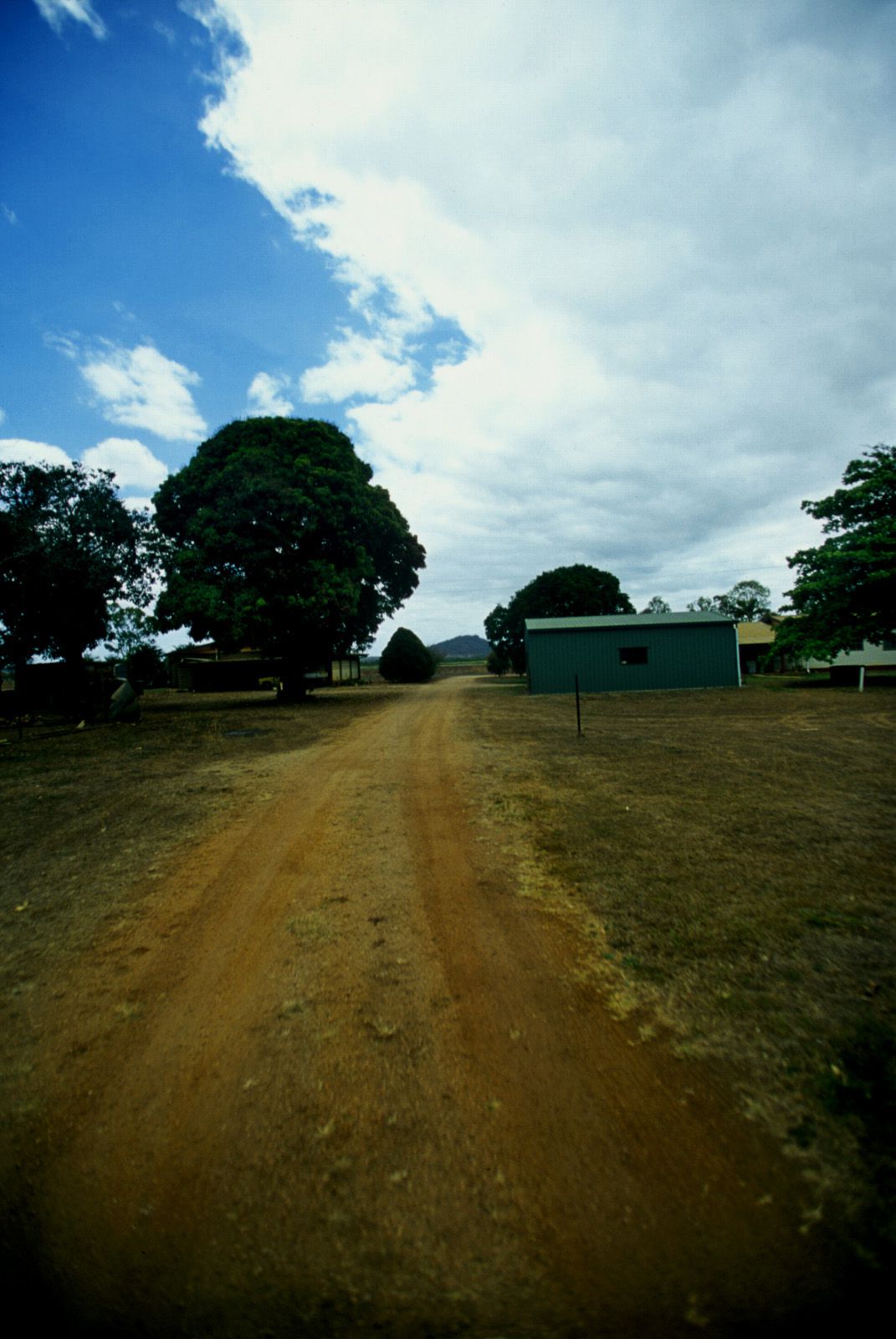 SF-No.339 Mayuko Iwasa 岩佐真悠子-图10